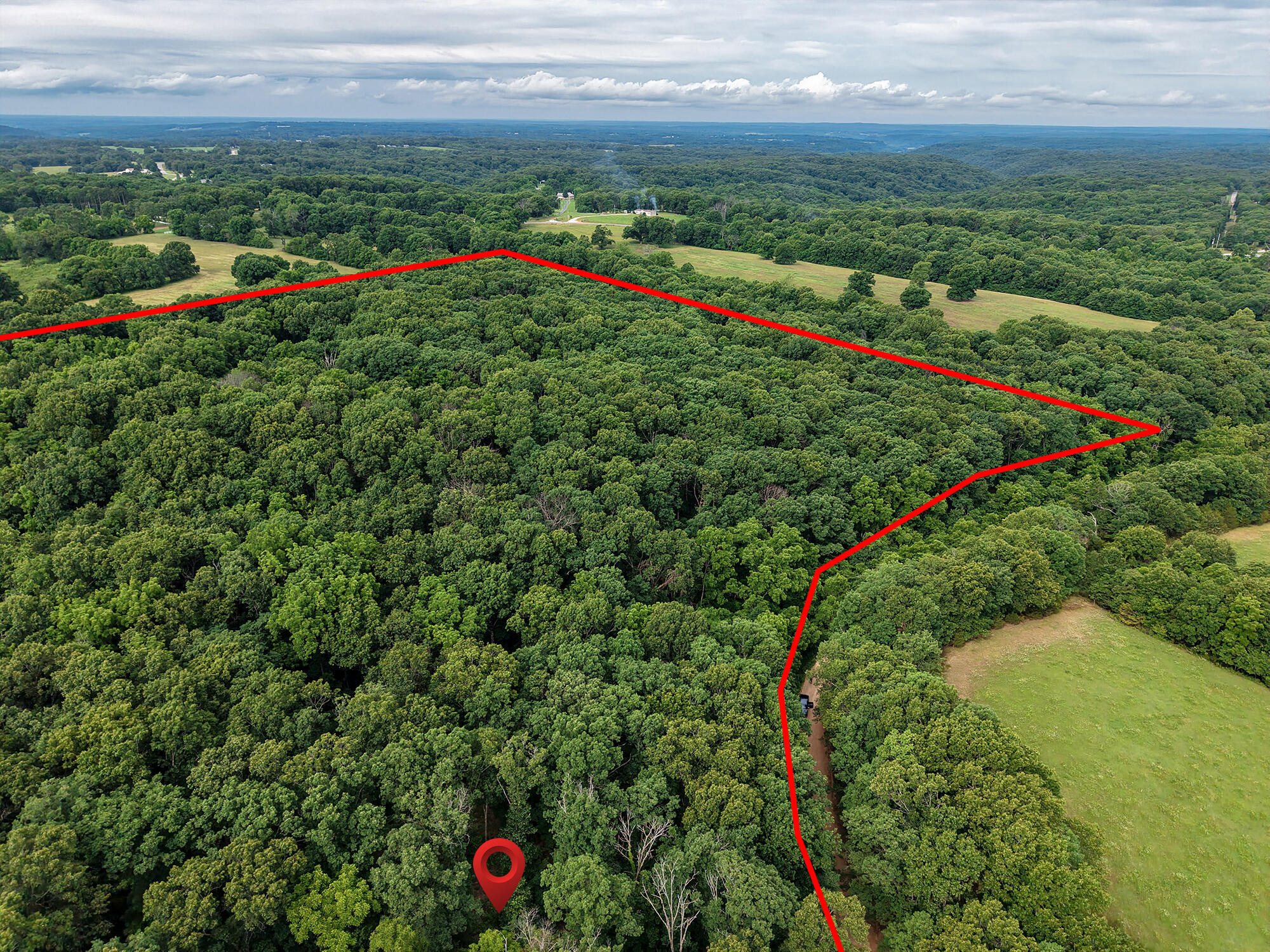 Photo 7 - Land for sale – 000  Farm Road 2230   Washburn, MO