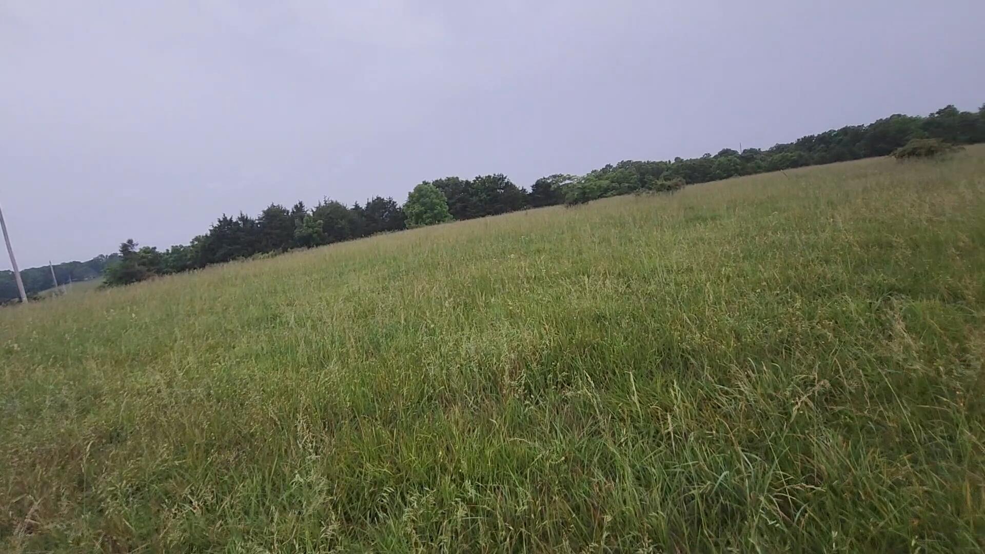 Photo 6 - Land for sale – 11005  Oak Tree Drive  Mountain Grove, MO