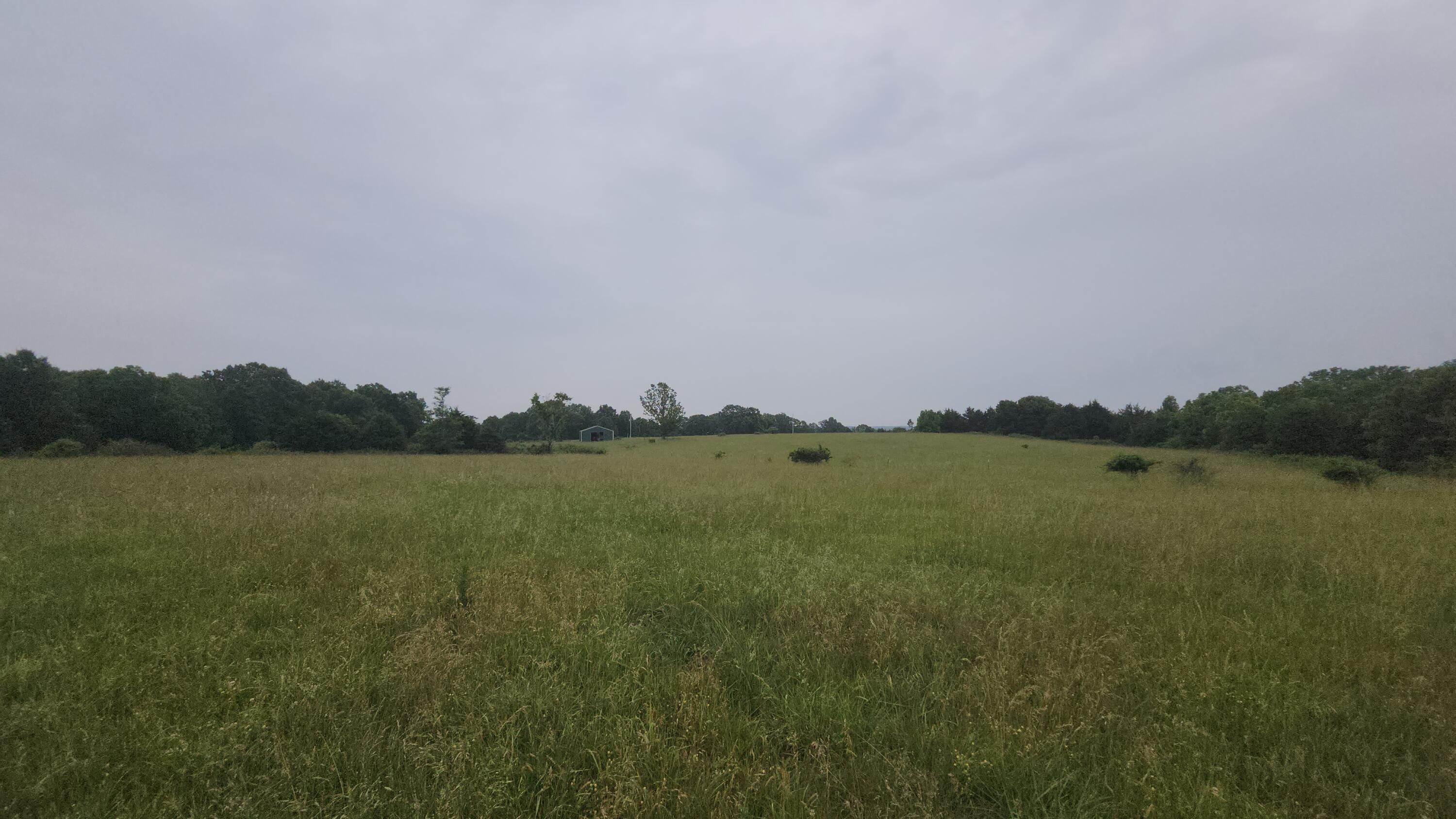 Photo 15 - Land for sale – 11005  Oak Tree Drive  Mountain Grove, MO