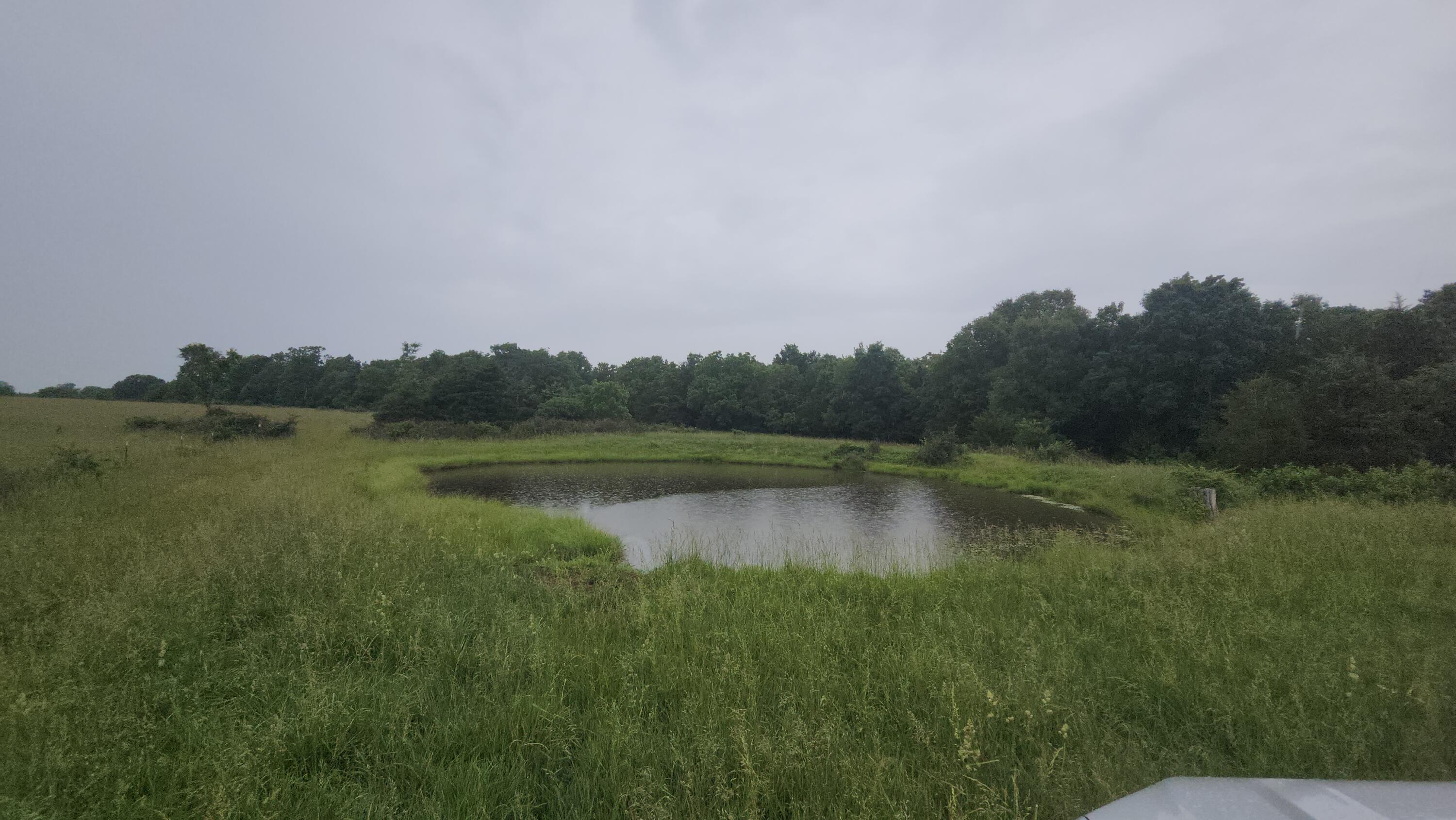 Photo 2 - Land for sale – 11005  Oak Tree Drive  Mountain Grove, MO