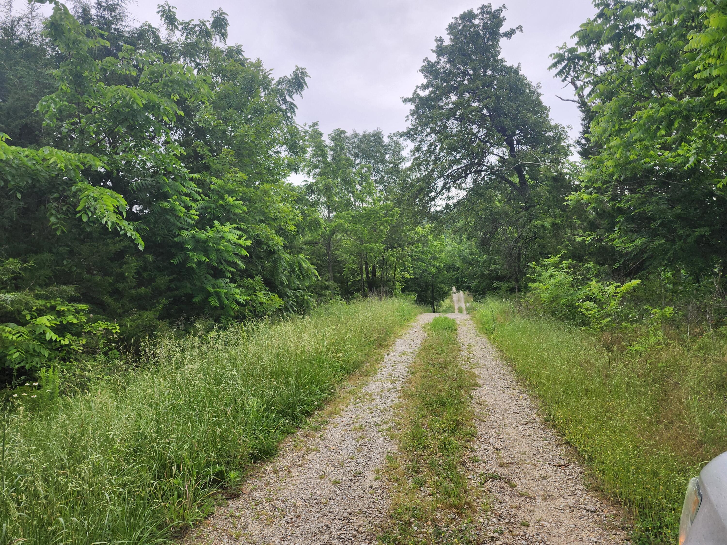 Photo 3 - Land for sale – 11005  Oak Tree Drive  Mountain Grove, MO