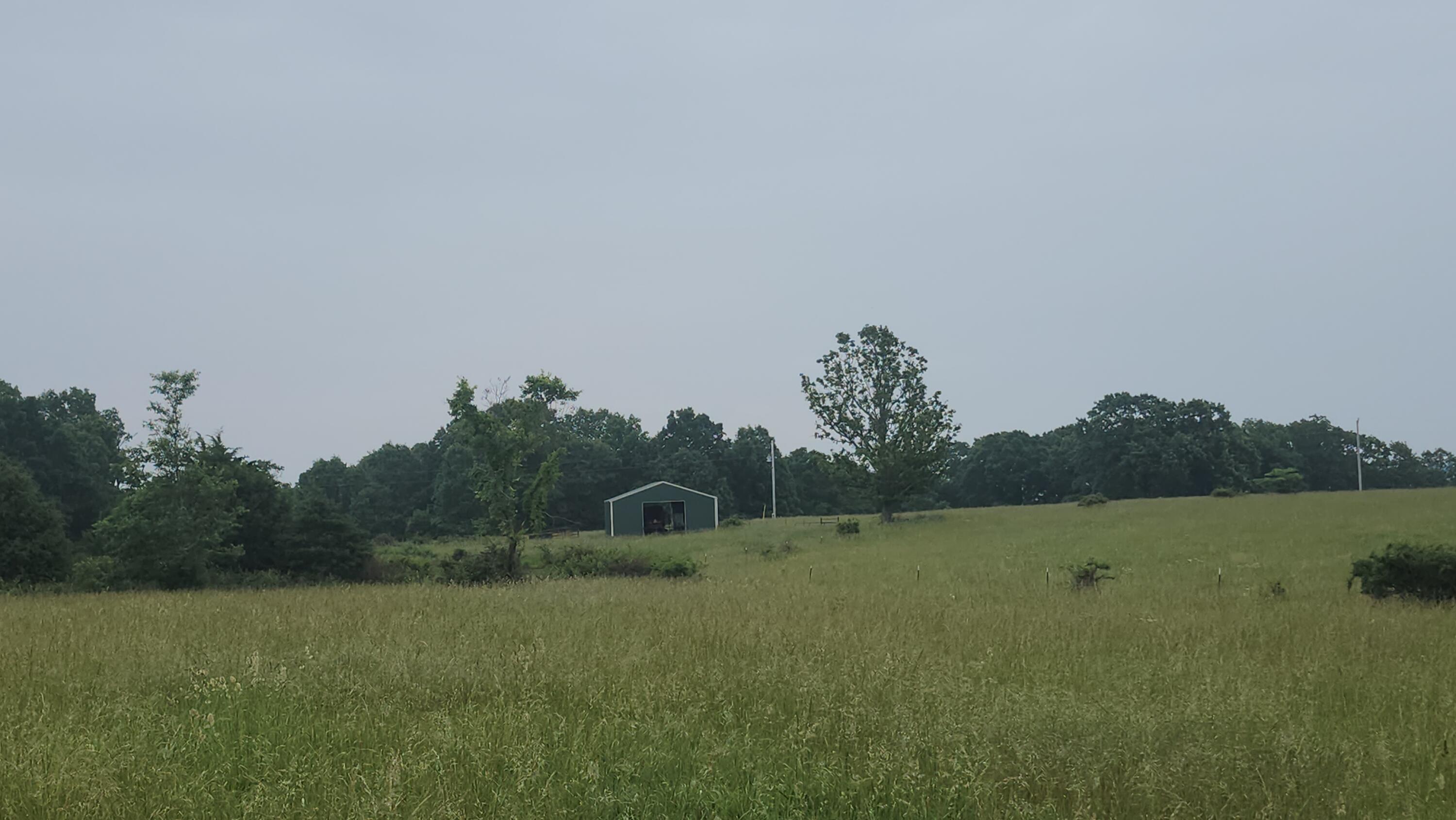 Photo 9 - Farm for sale – 000-C  Tbd Oak Tree Drive  Mountain Grove, MO