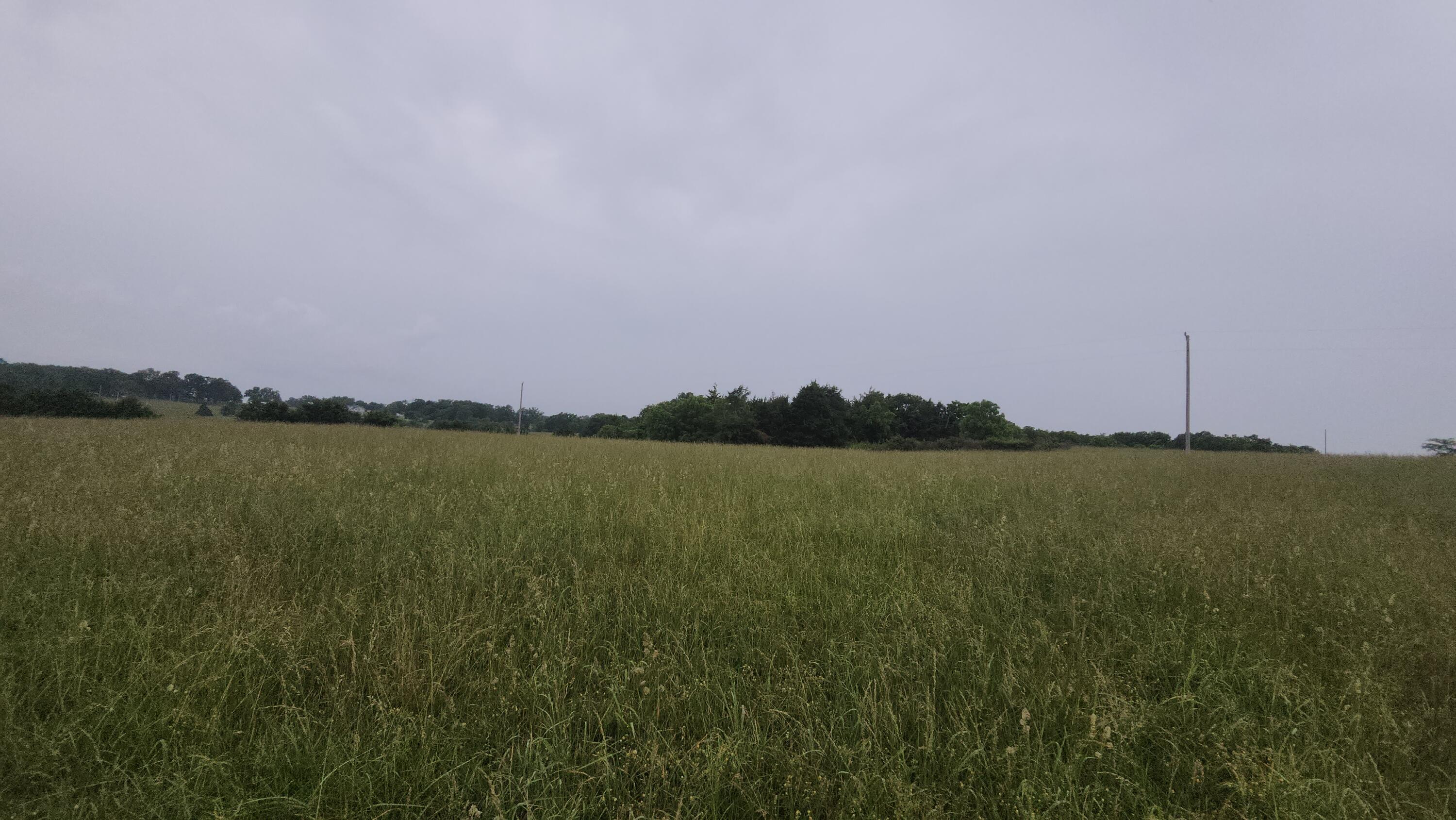 Photo 14 - Farm for sale – 000-C  Tbd Oak Tree Drive  Mountain Grove, MO