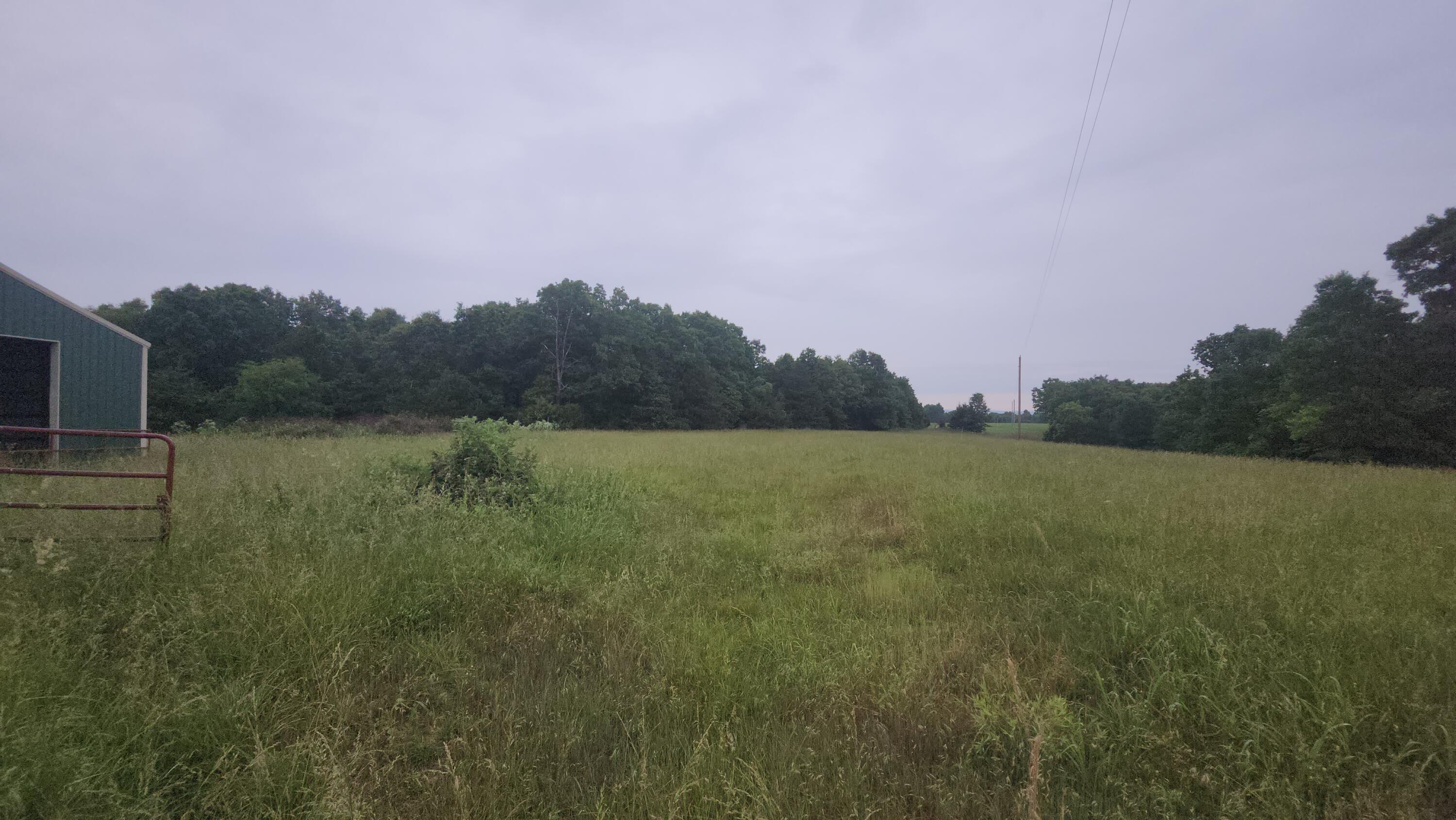 Photo 11 - Farm for sale – 000-C  Tbd Oak Tree Drive  Mountain Grove, MO