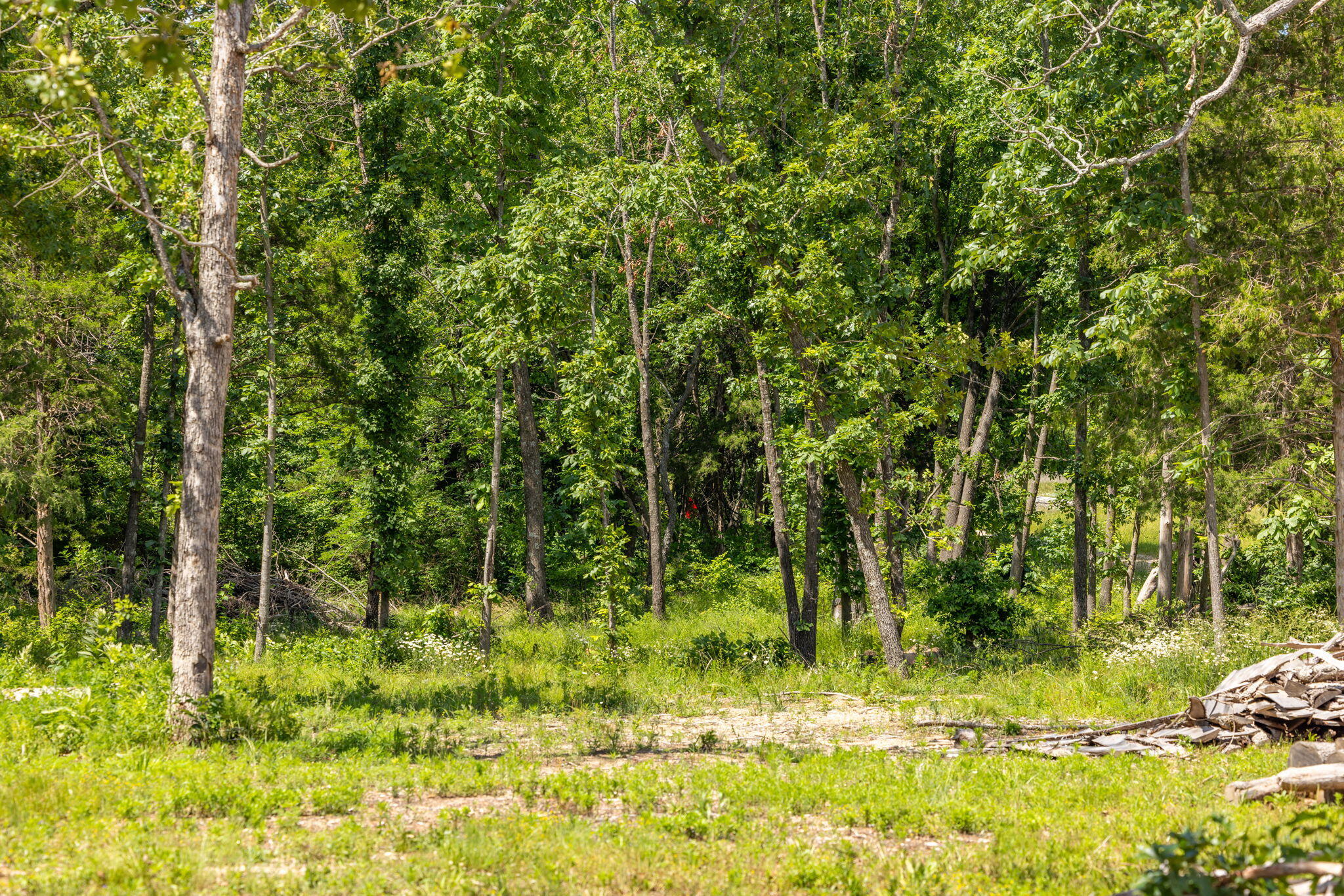 Photo 25 - Land for sale – 75  Raven Dove Drive  Marshfield, MO