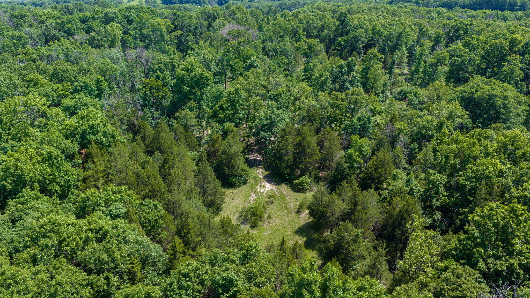 Photo 27 - Land for sale – 75  Raven Dove Drive  Marshfield, MO