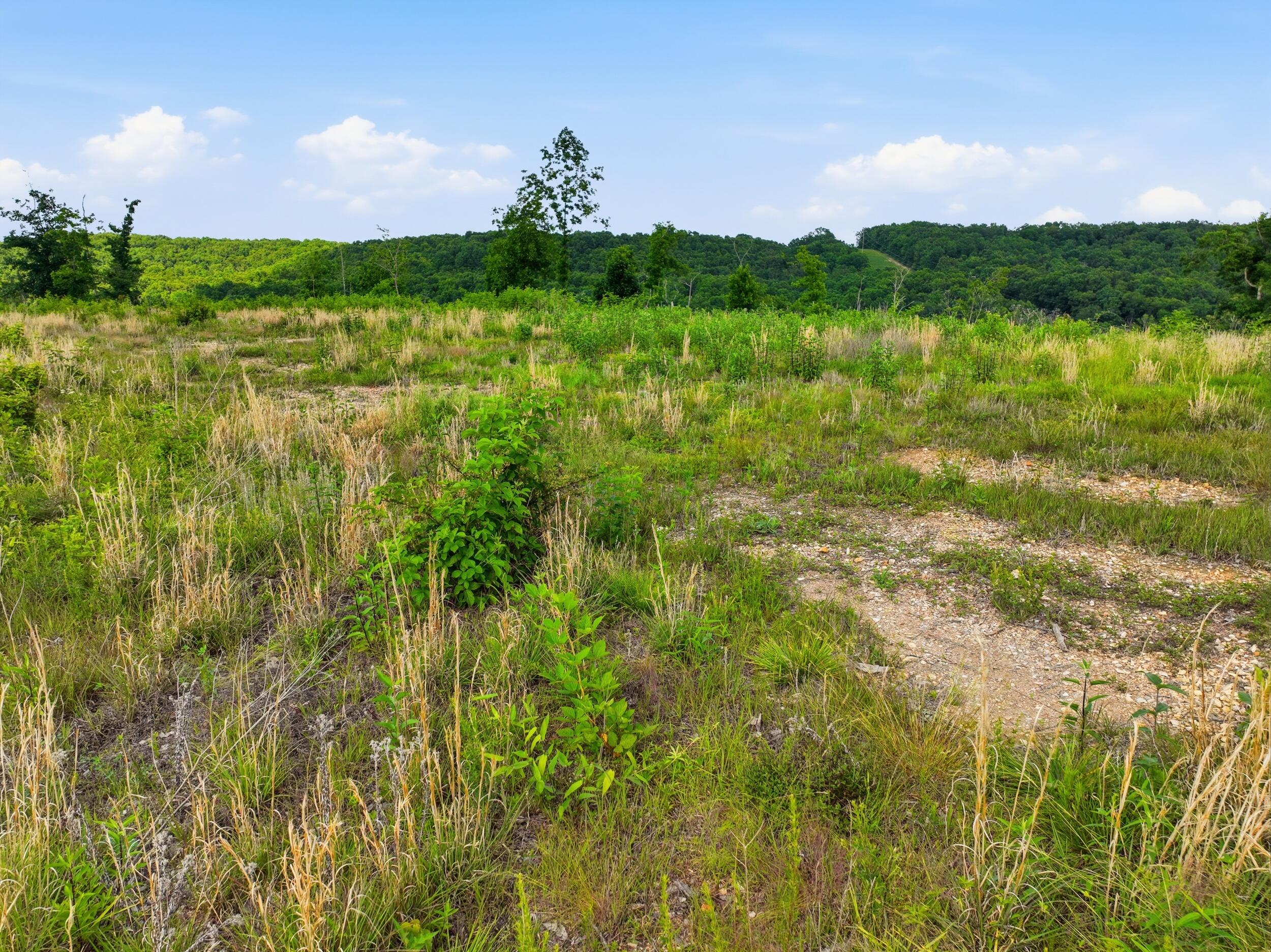 Photo 24 - Land for sale – 66  Private Road 3424   Mountain View, MO