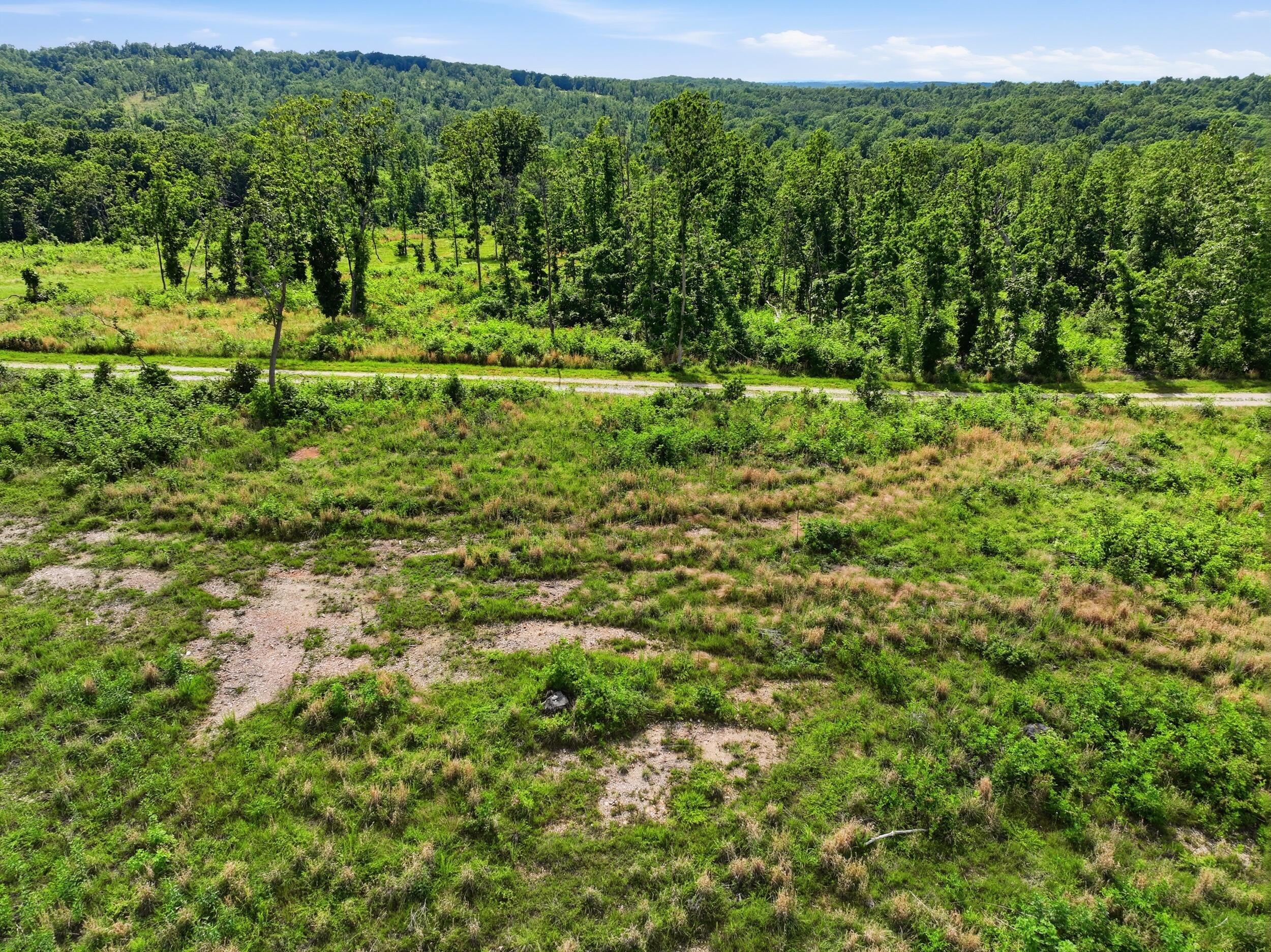 Photo 21 - Land for sale – 66  Private Road 3424   Mountain View, MO