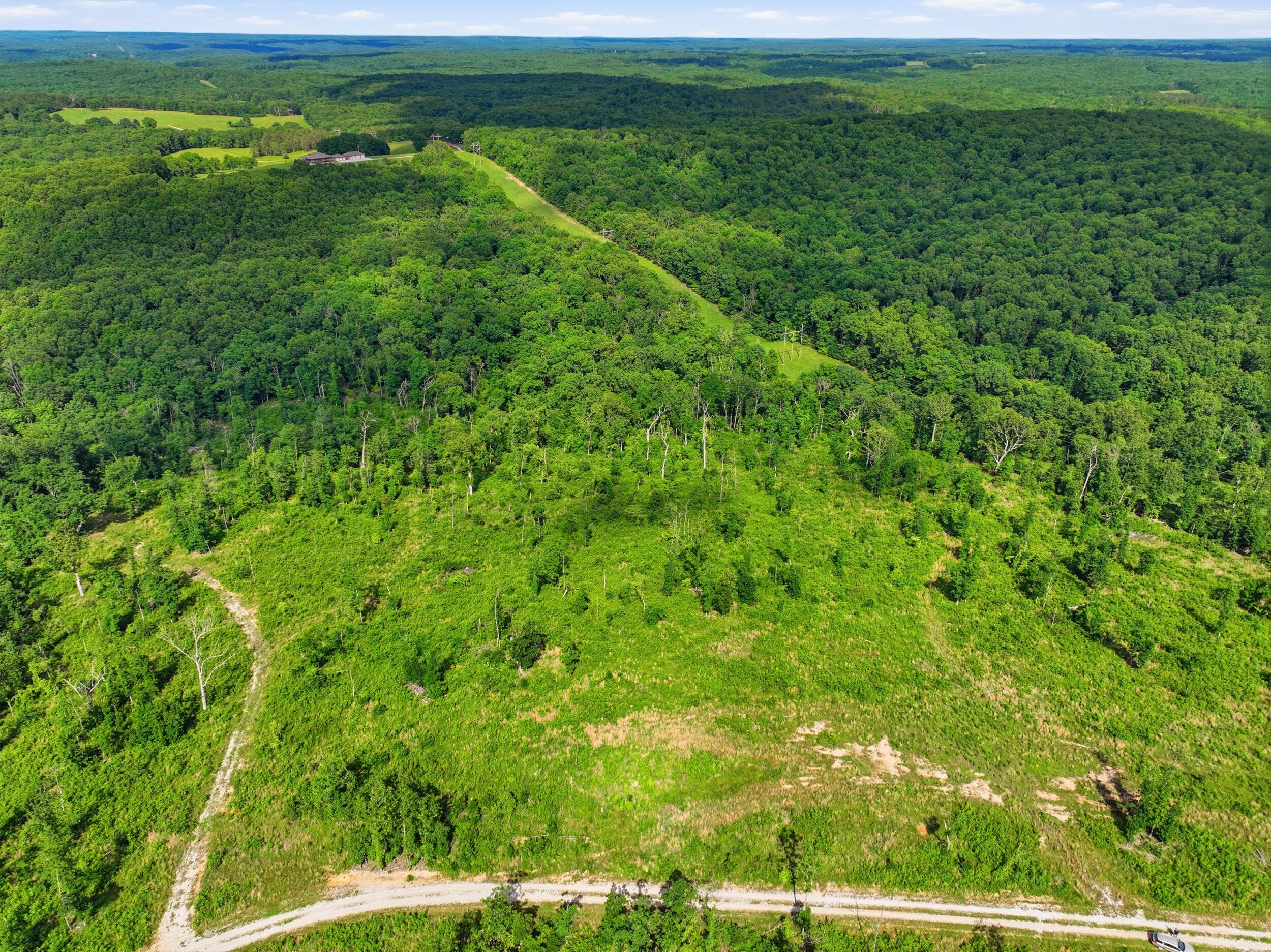Photo 14 - Land for sale – 66  Private Road 3424   Mountain View, MO