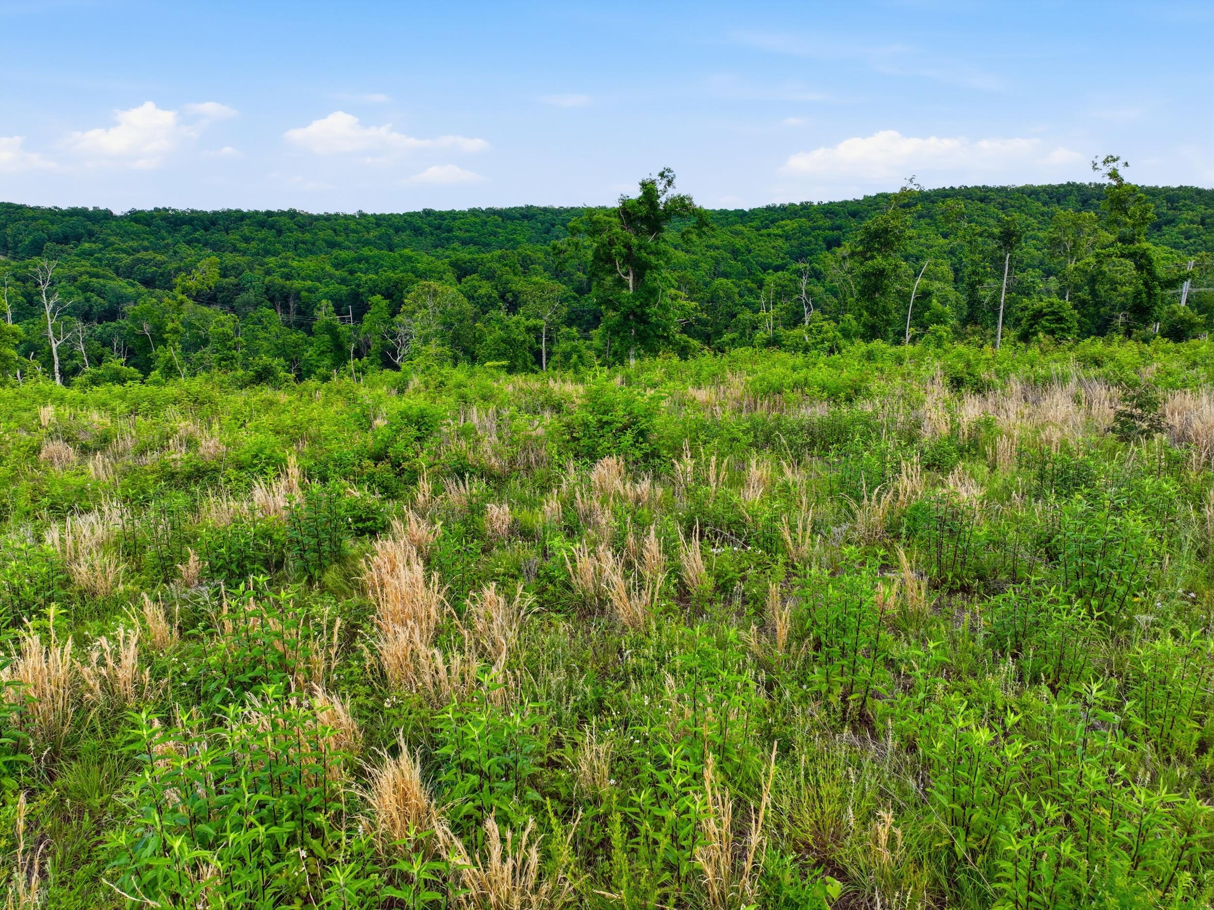 Photo 27 - Land for sale – 66  Private Road 3424   Mountain View, MO