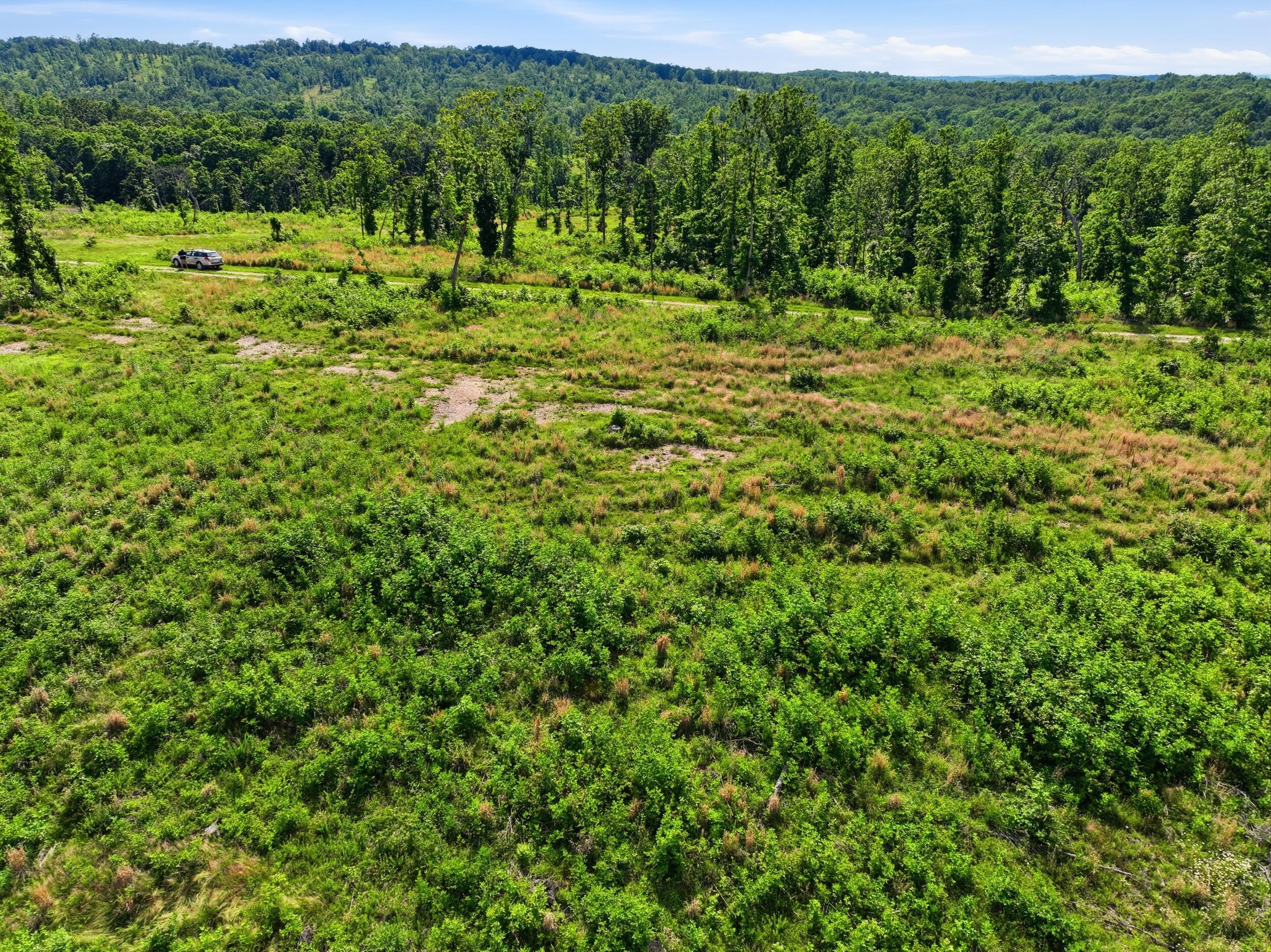 Photo 20 - Land for sale – 66  Private Road 3424   Mountain View, MO