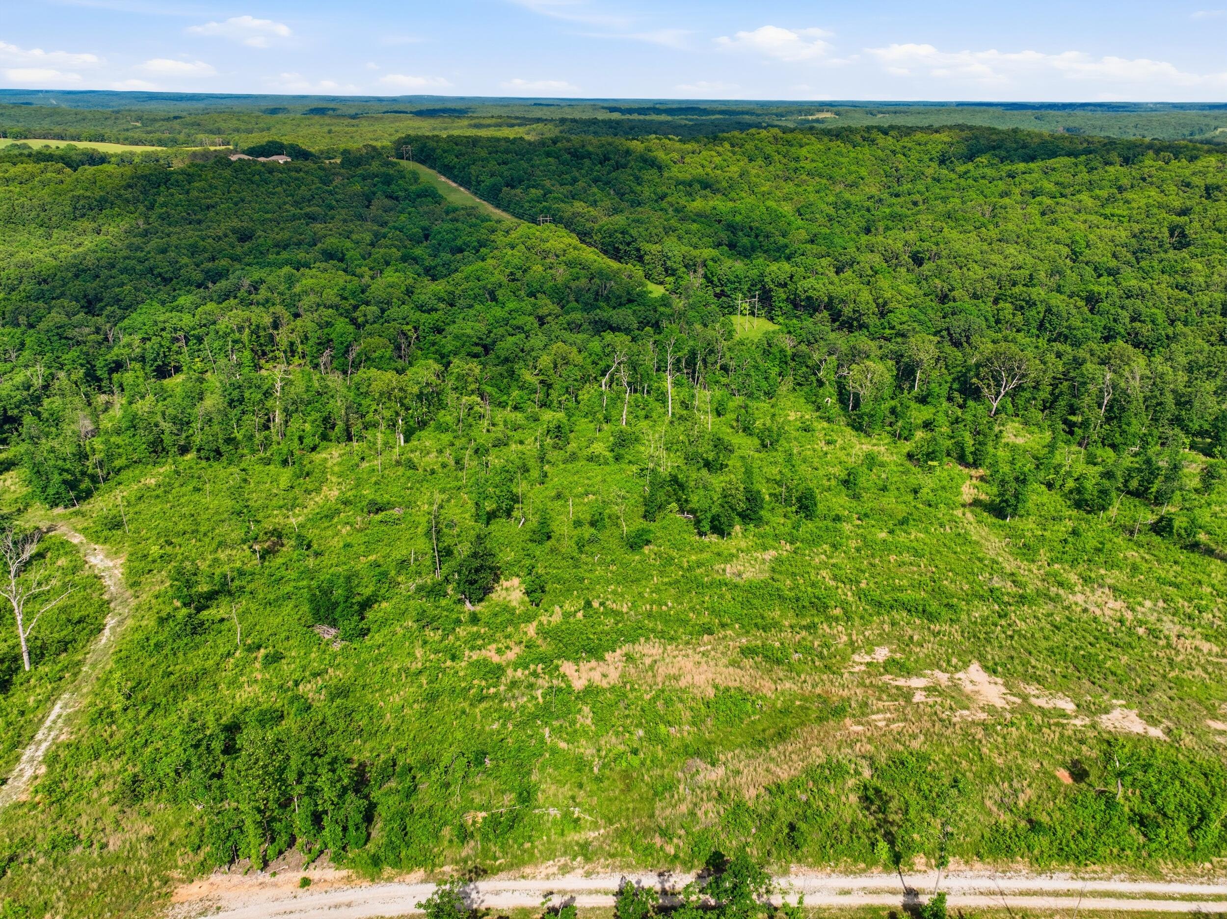 Photo 3 - Land for sale – 66  Private Road 3424   Mountain View, MO