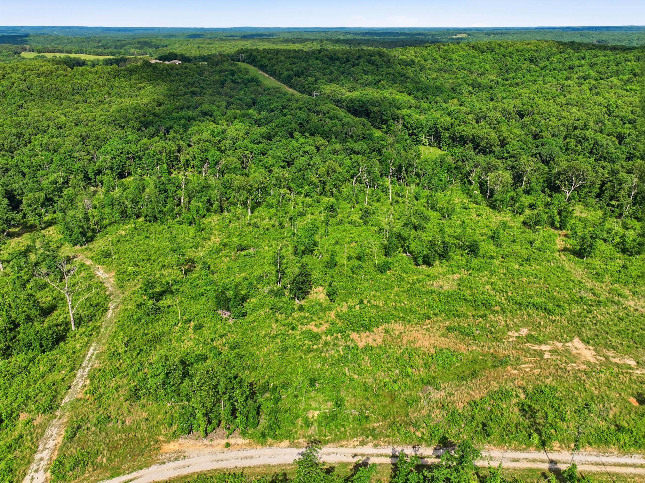 Photo 2 - Land for sale – 66  Private Road 3424   Mountain View, MO