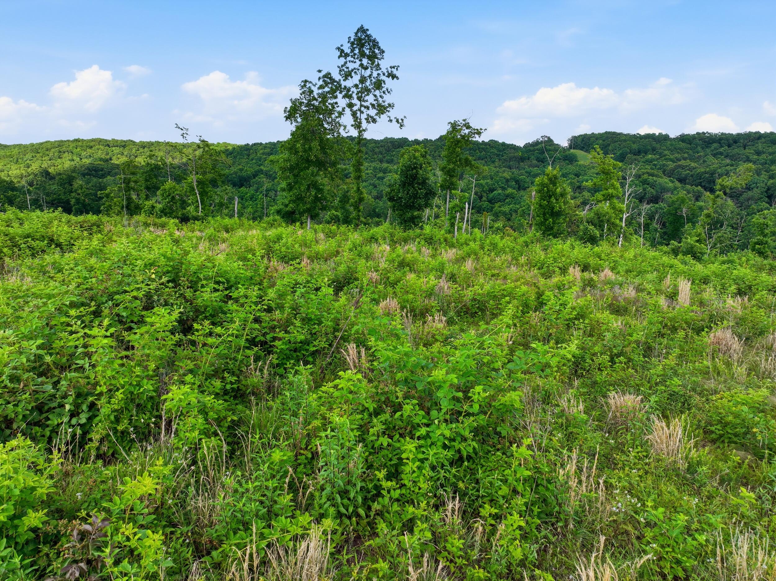 Photo 28 - Land for sale – 66  Private Road 3424   Mountain View, MO