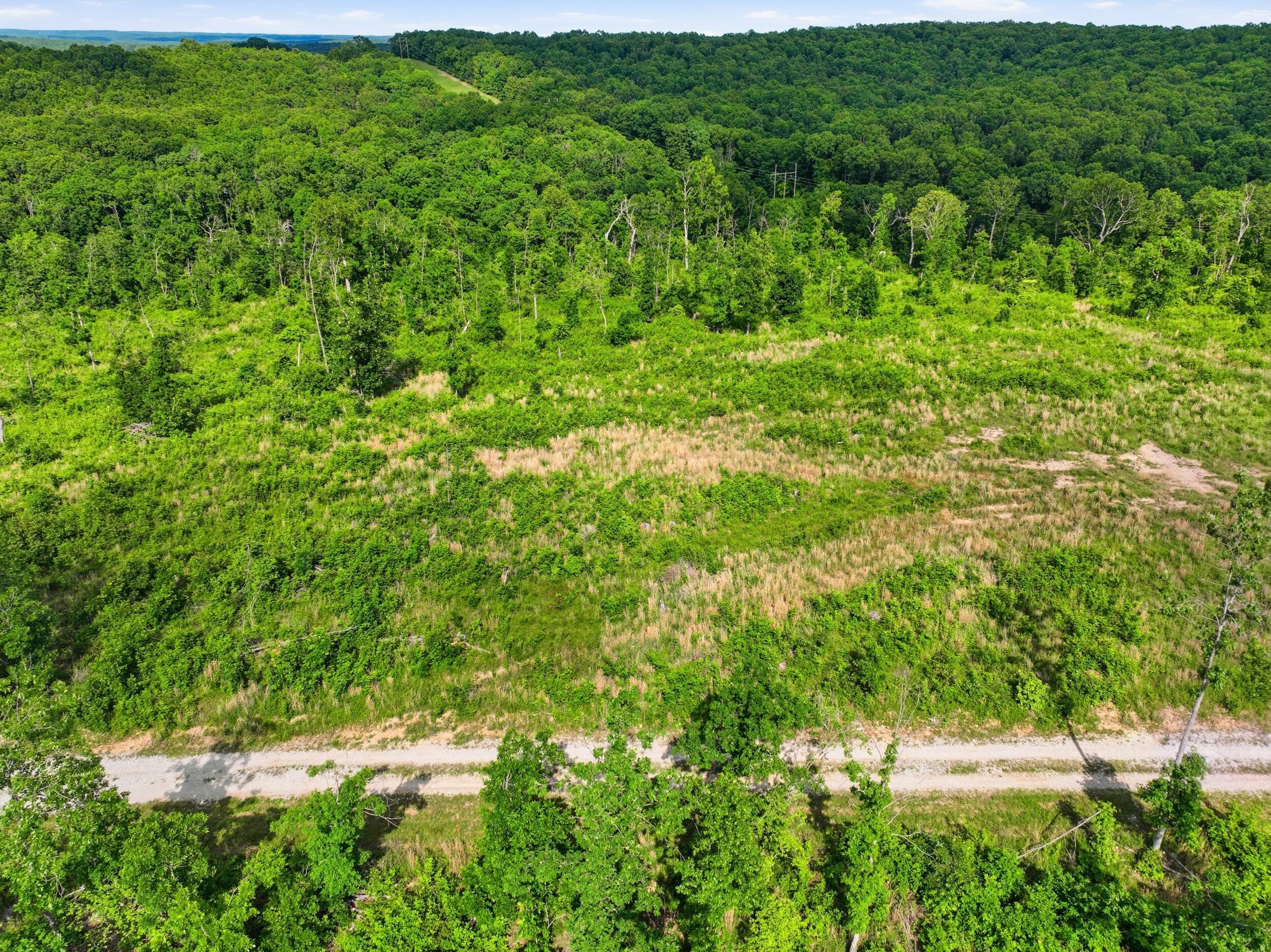 Photo 15 - Land for sale – 66  Private Road 3424   Mountain View, MO