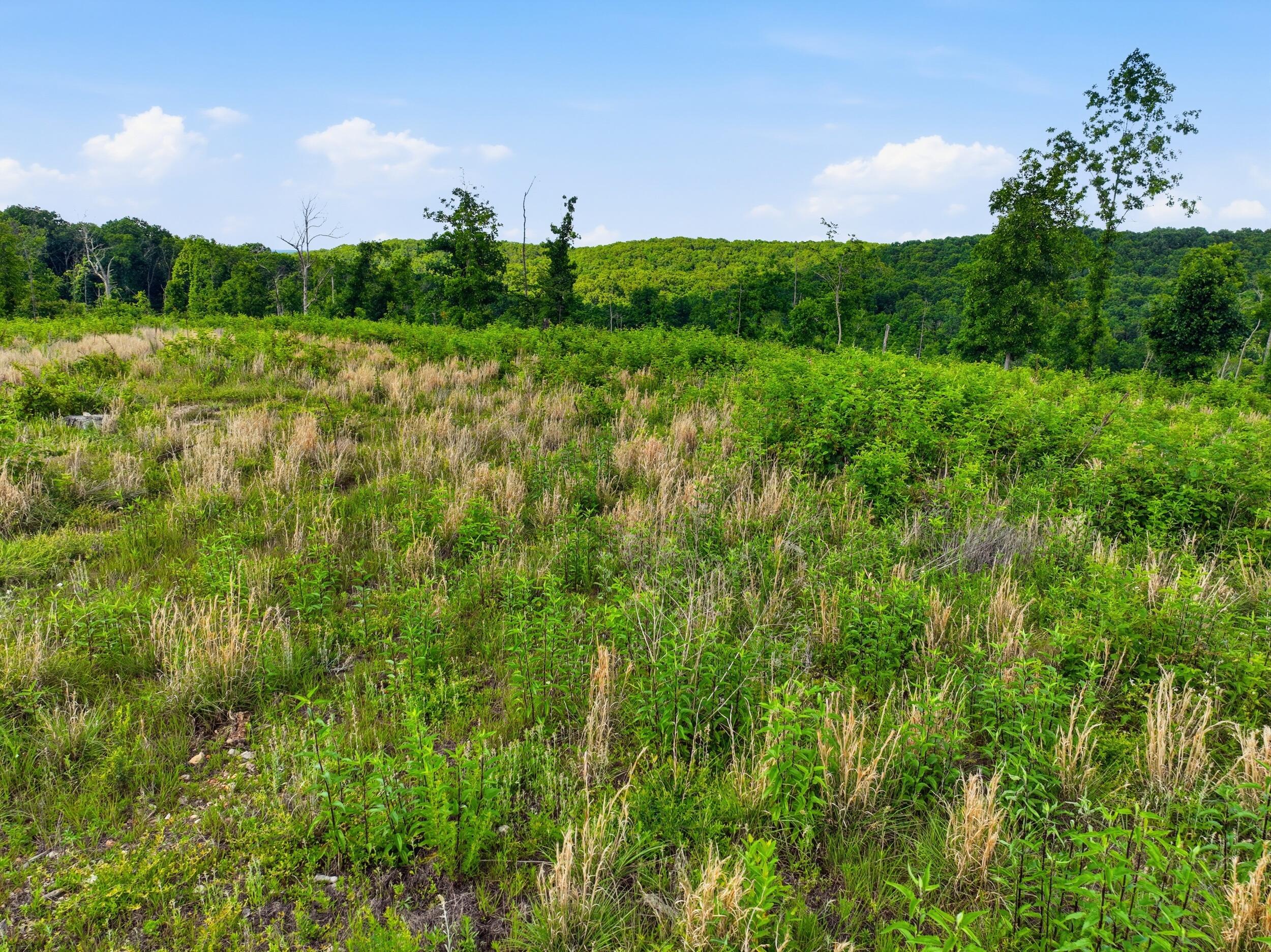 Photo 26 - Land for sale – 66  Private Road 3424   Mountain View, MO