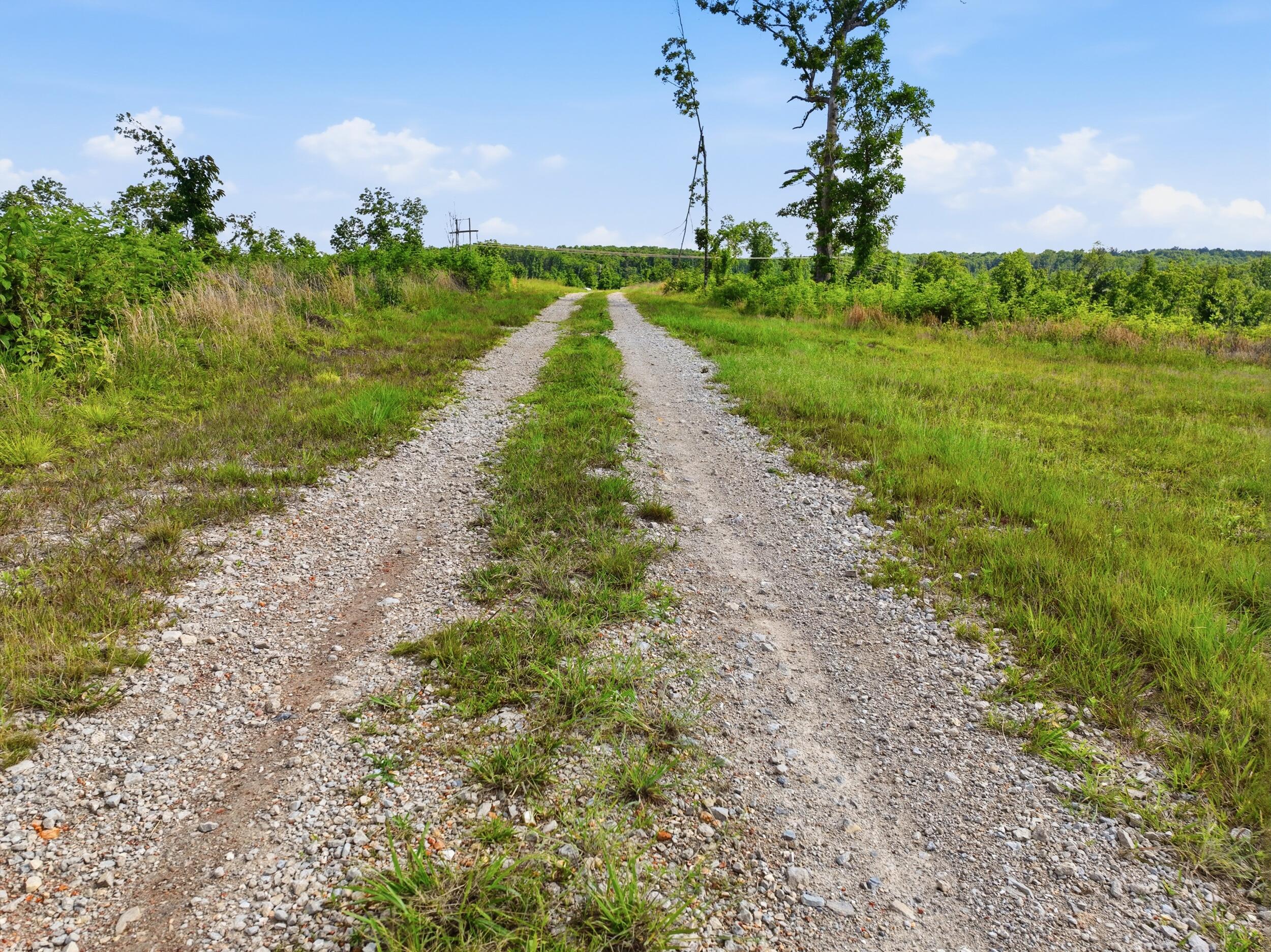 Photo 23 - Land for sale – 66  Private Road 3424   Mountain View, MO