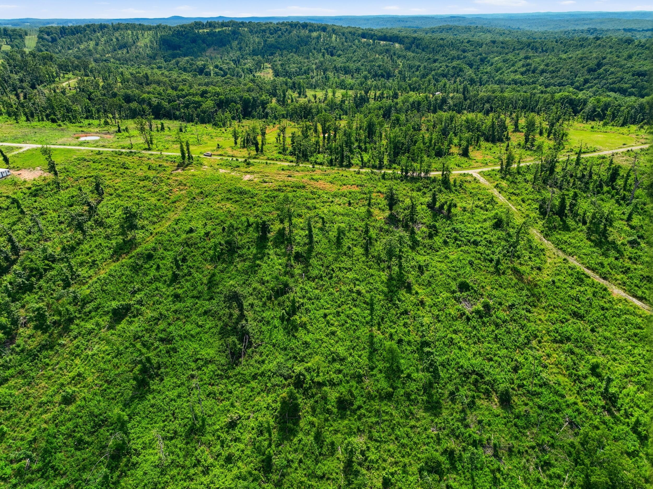 Photo 7 - Land for sale – 66  Private Road 3424   Mountain View, MO
