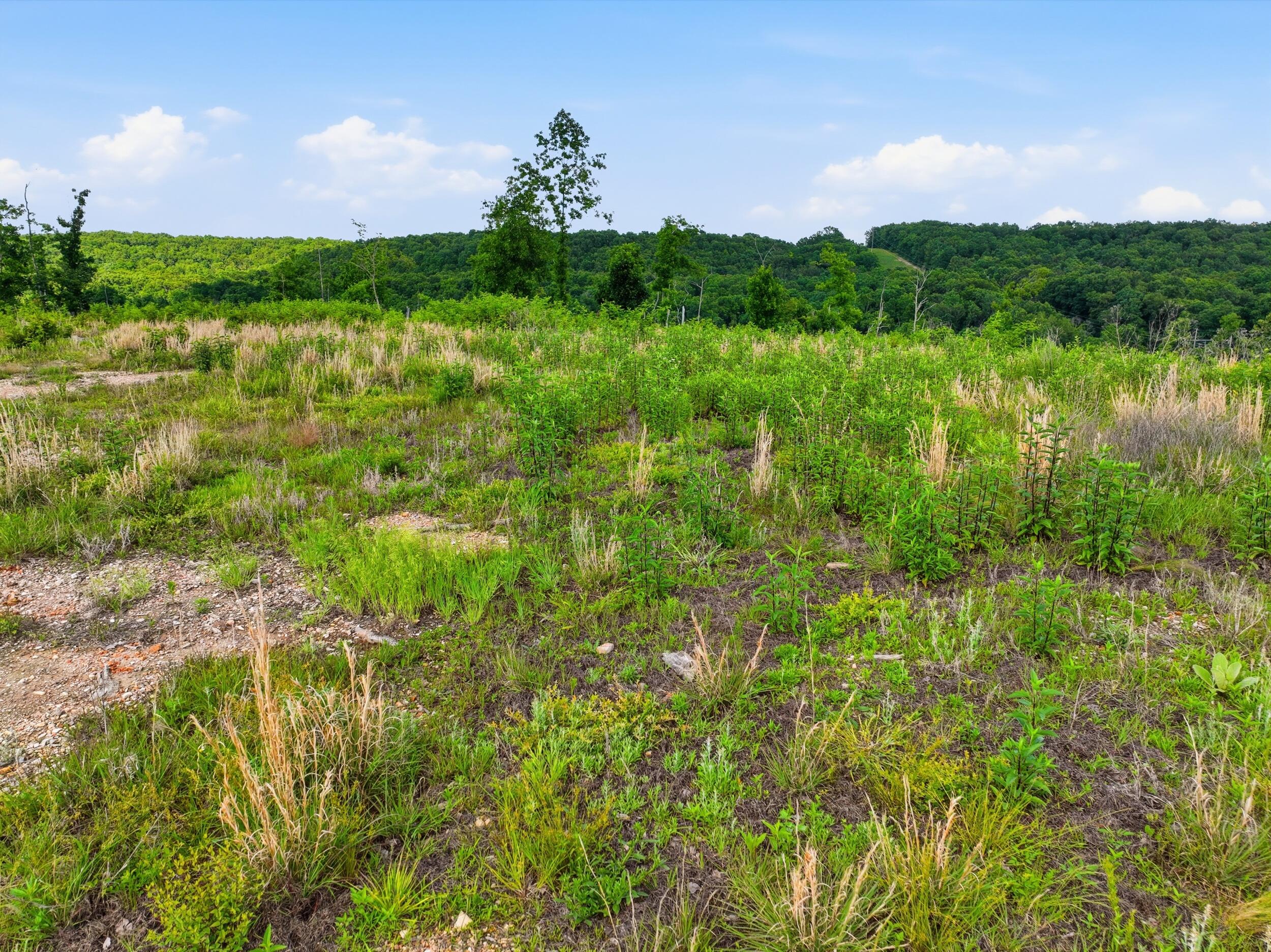 Photo 25 - Land for sale – 66  Private Road 3424   Mountain View, MO