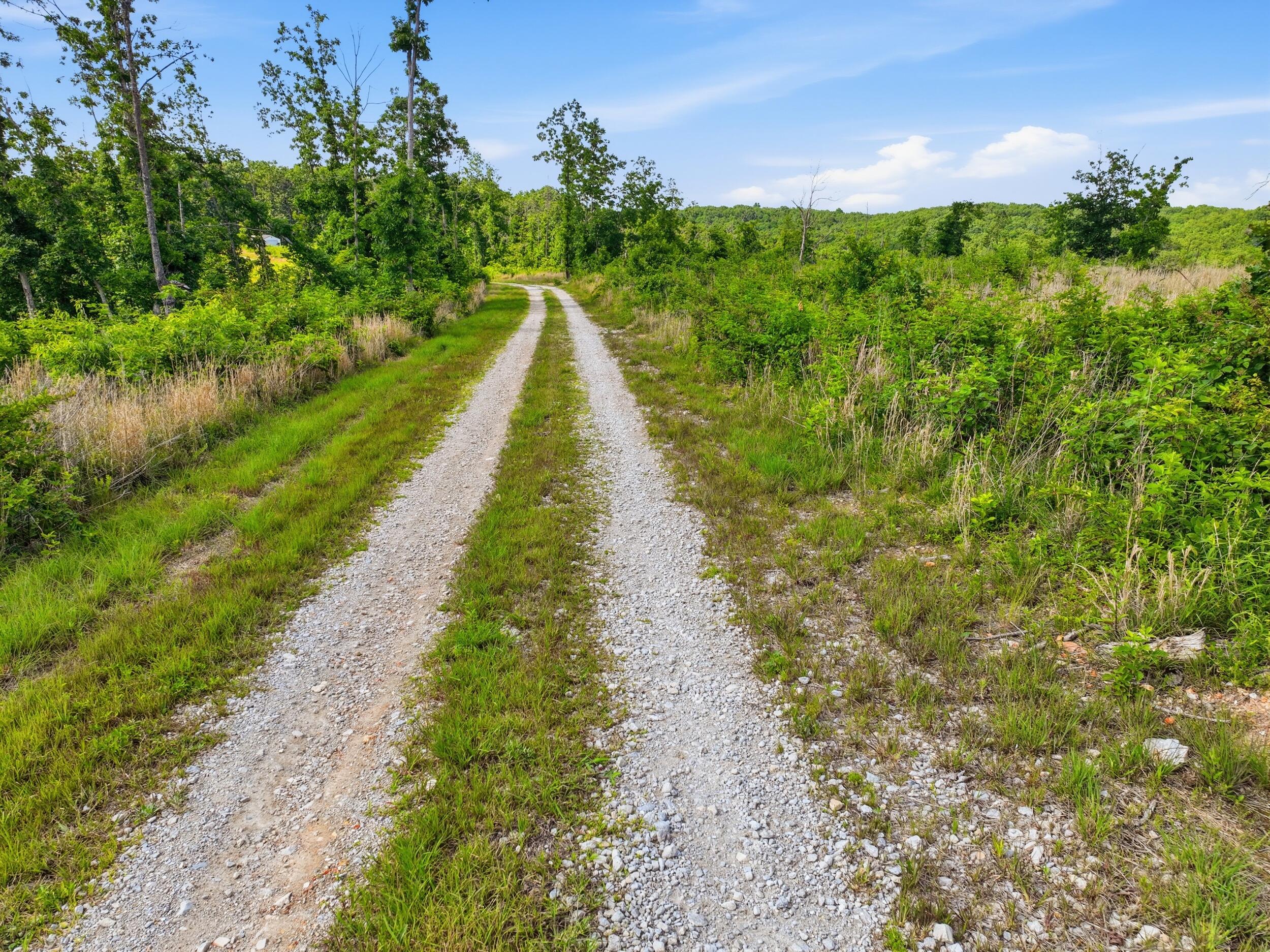 Photo 22 - Land for sale – 66  Private Road 3424   Mountain View, MO