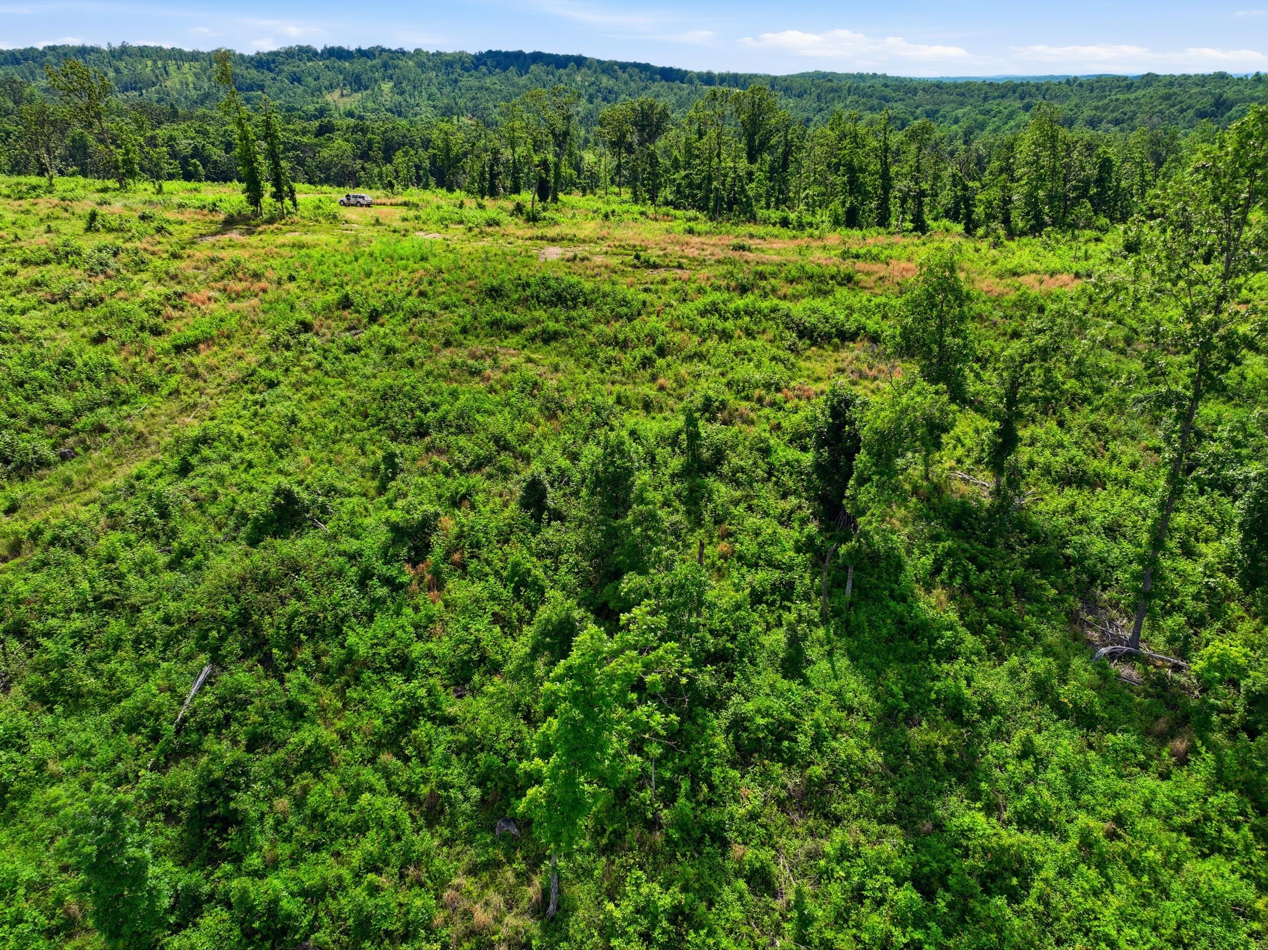 Photo 19 - Land for sale – 66  Private Road 3424   Mountain View, MO