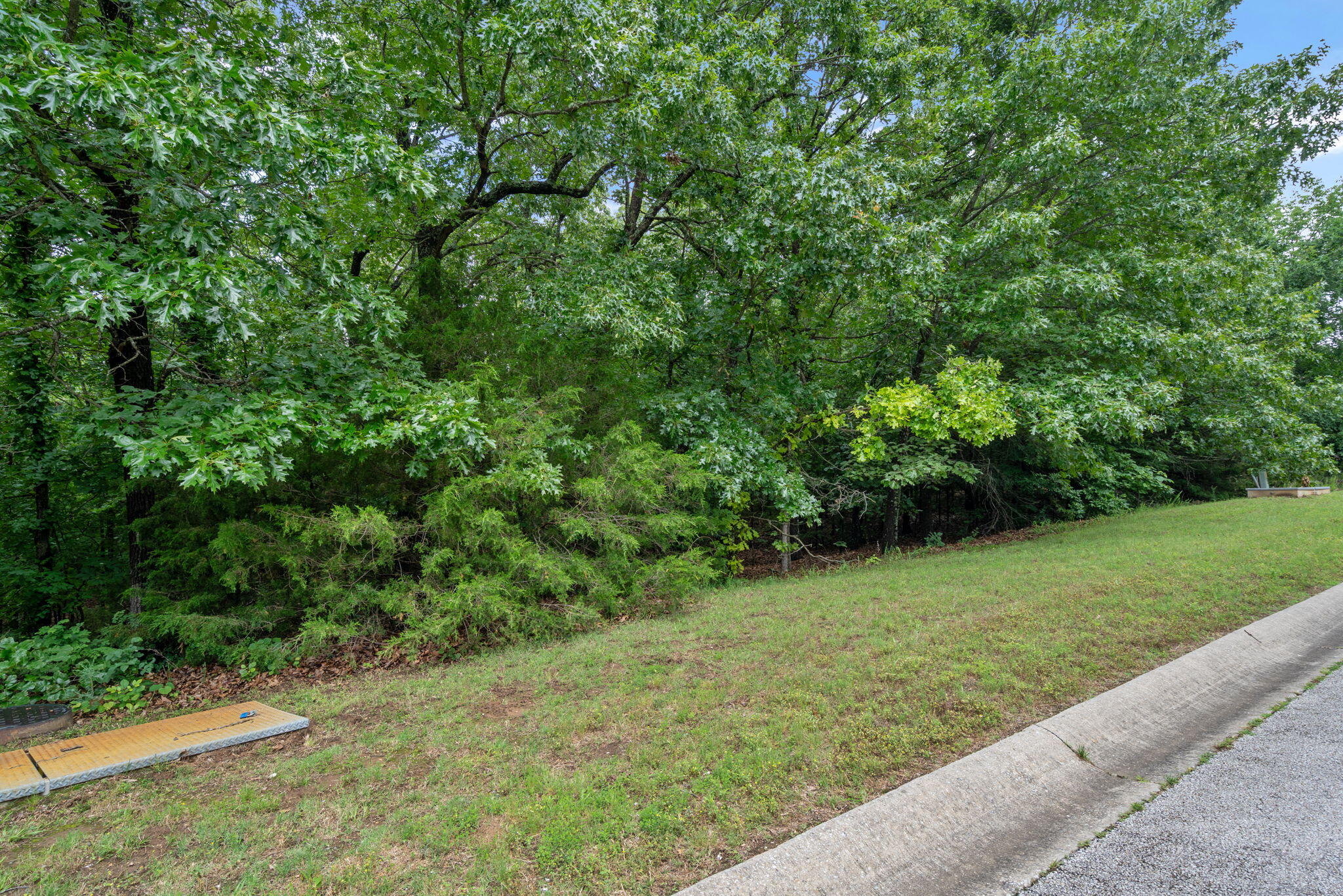 Photo 9 - Land for sale – 232  Woodhaven Circle  Hollister, MO