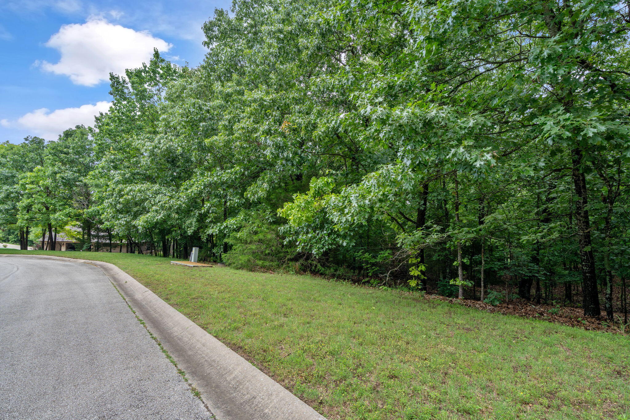 Photo 7 - Land for sale – 232  Woodhaven Circle  Hollister, MO