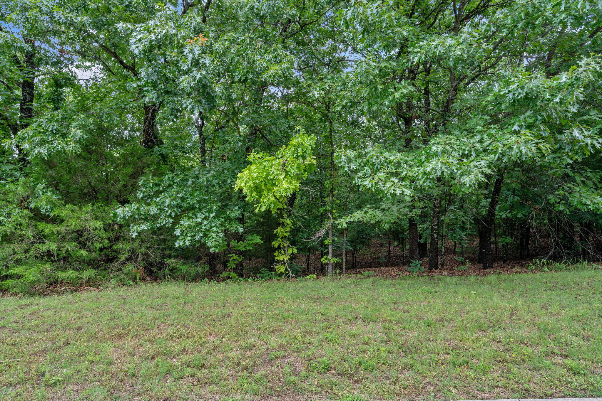 Photo 8 - Land for sale – 232  Woodhaven Circle  Hollister, MO
