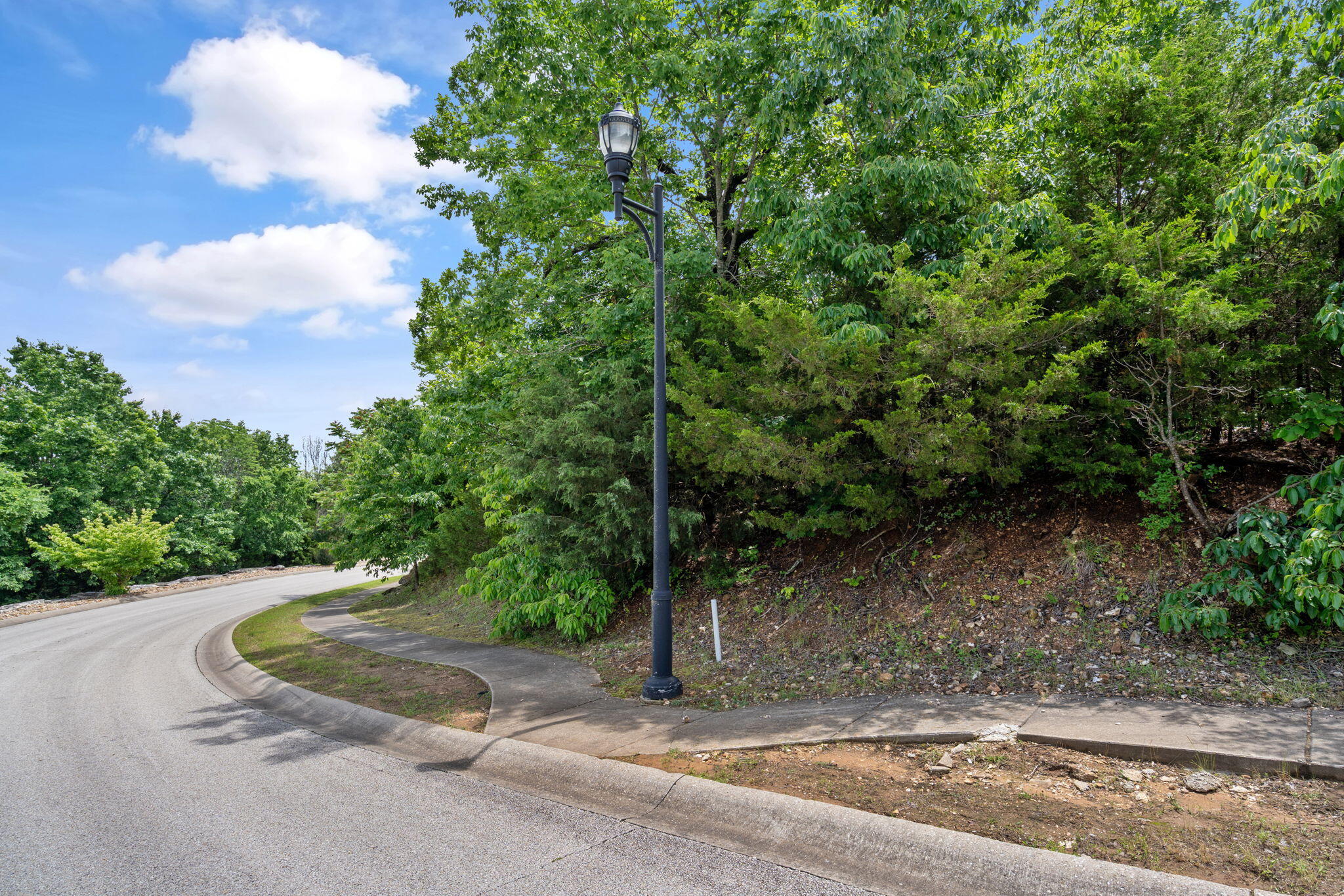 Photo 8 - Land for sale – 165  Forest Oak Drive  Hollister, MO
