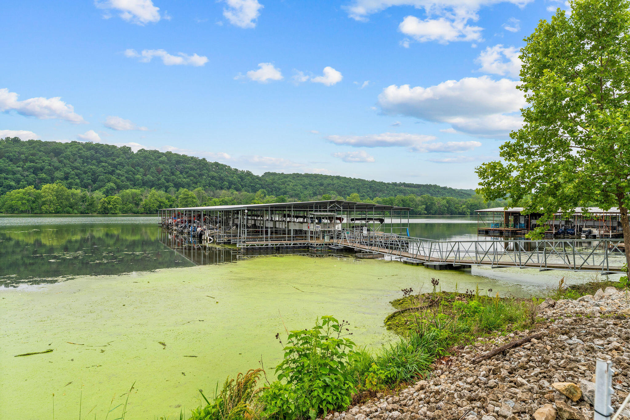 Photo 37 - Residential for sale – 150  Sunken Forest Drive  Forsyth, MO