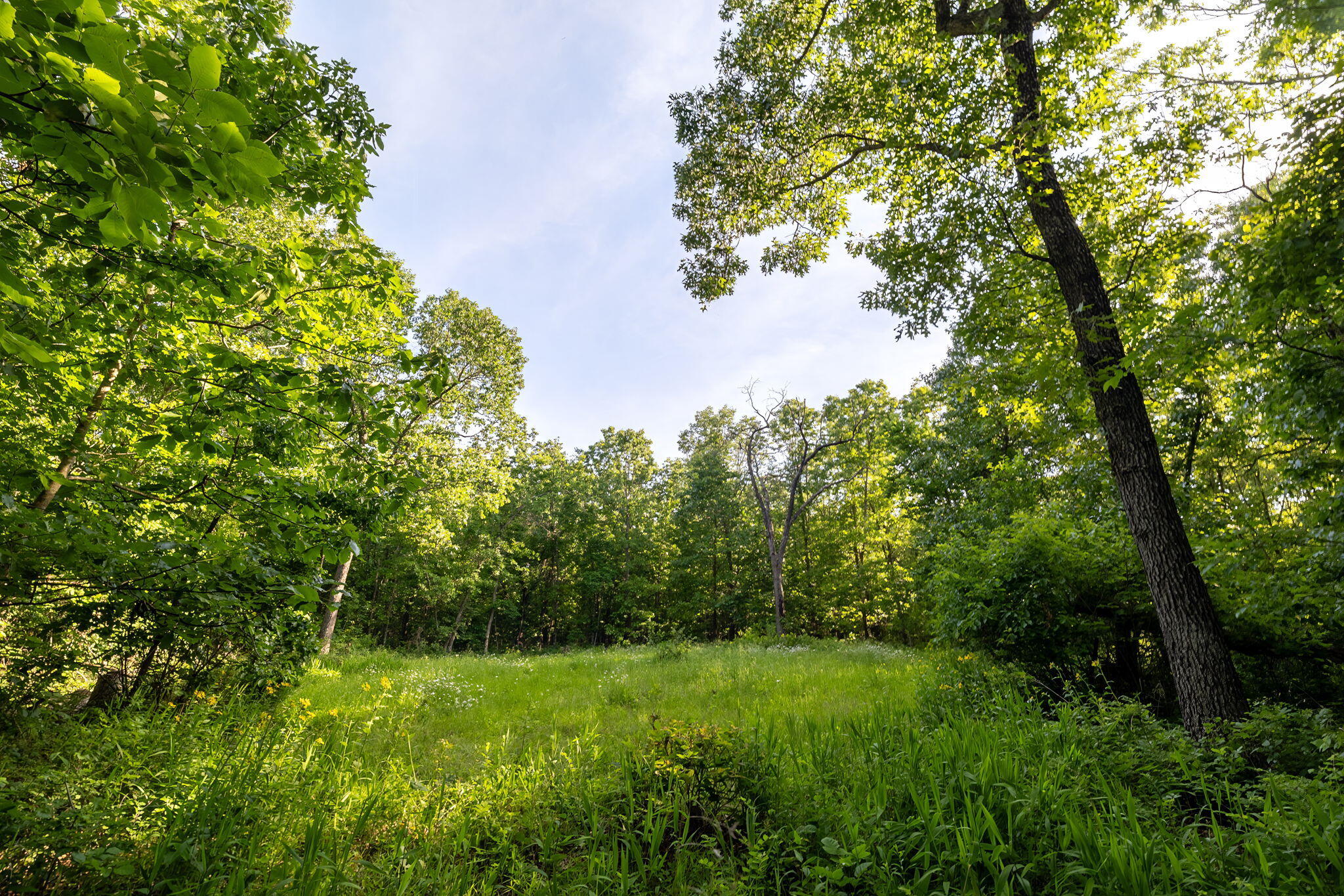 Photo 28 - Land for sale – 3093 S 25th Road  Humansville, MO