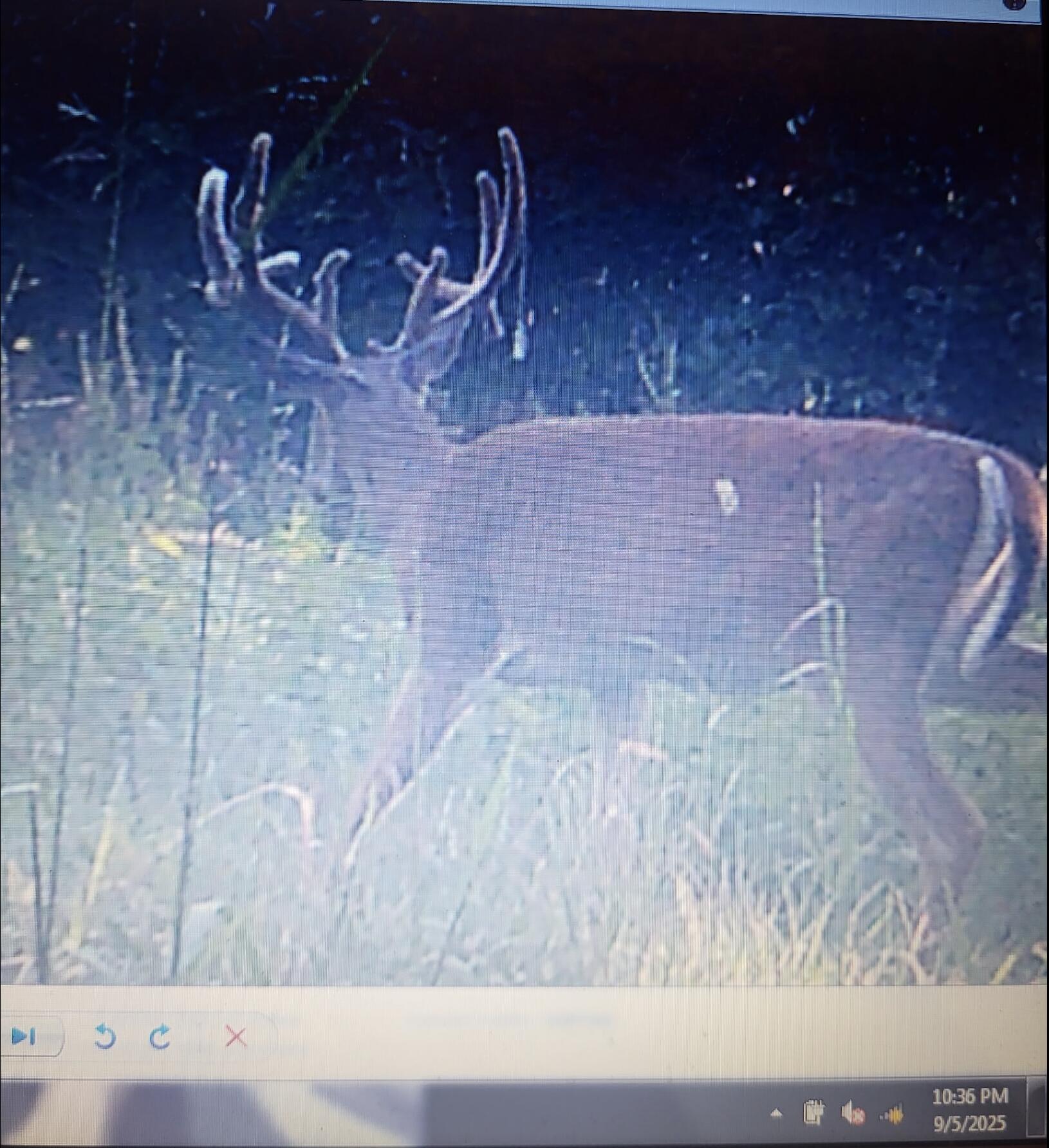 Photo 65 - Land for sale – 3093 S 25th Road  Humansville, MO