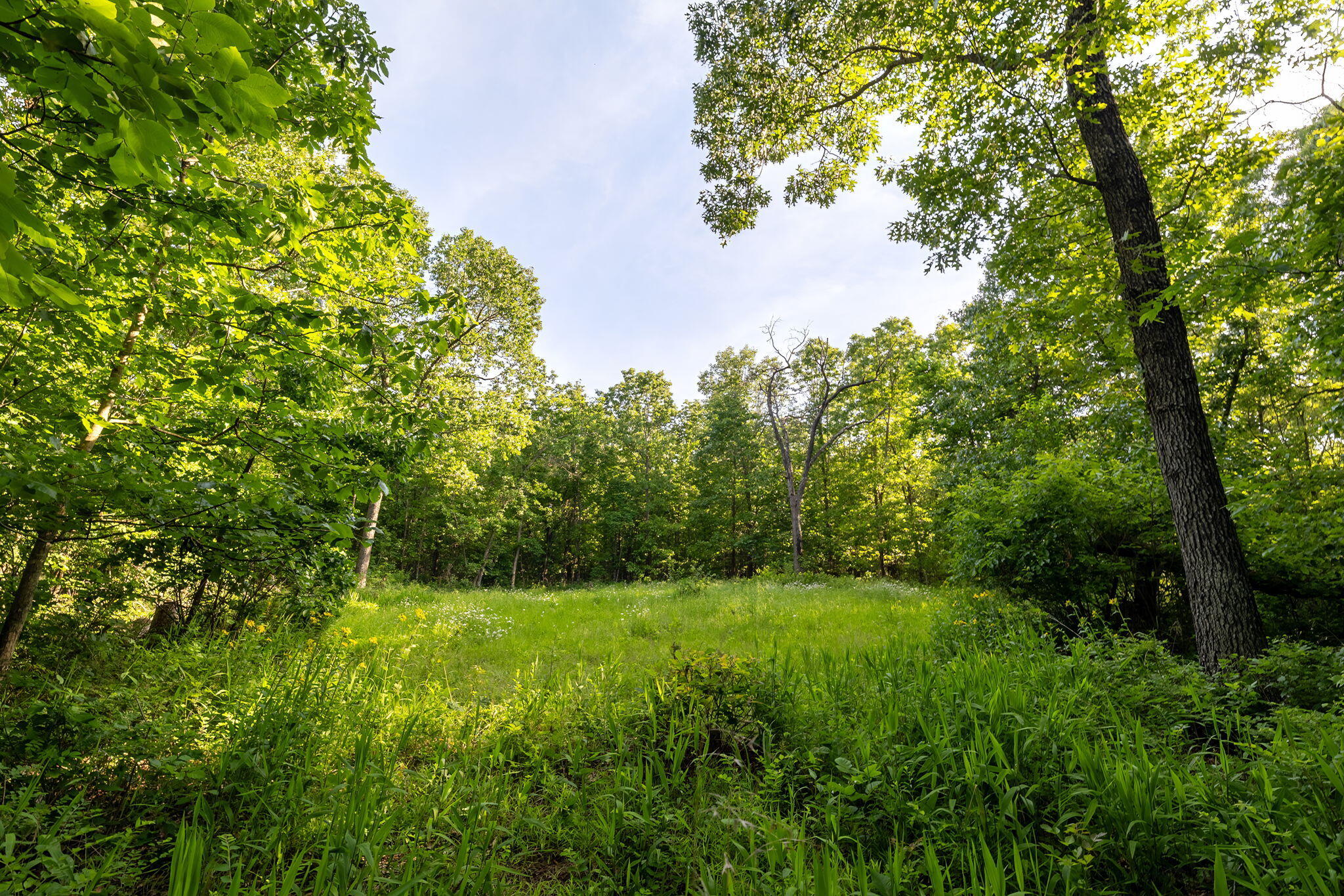 Photo 27 - Land for sale – 3093 S 25th Road  Humansville, MO