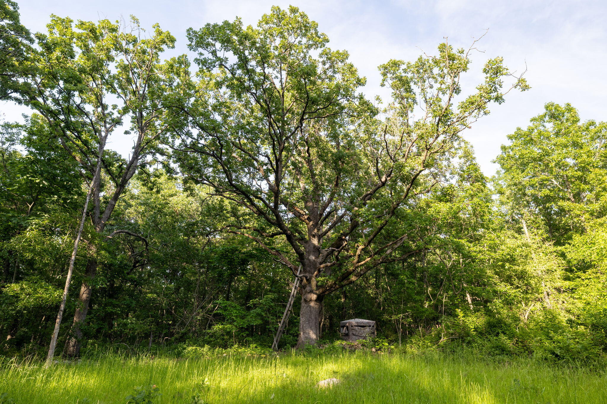 Photo 34 - Land for sale – 3093 S 25th Road  Humansville, MO
