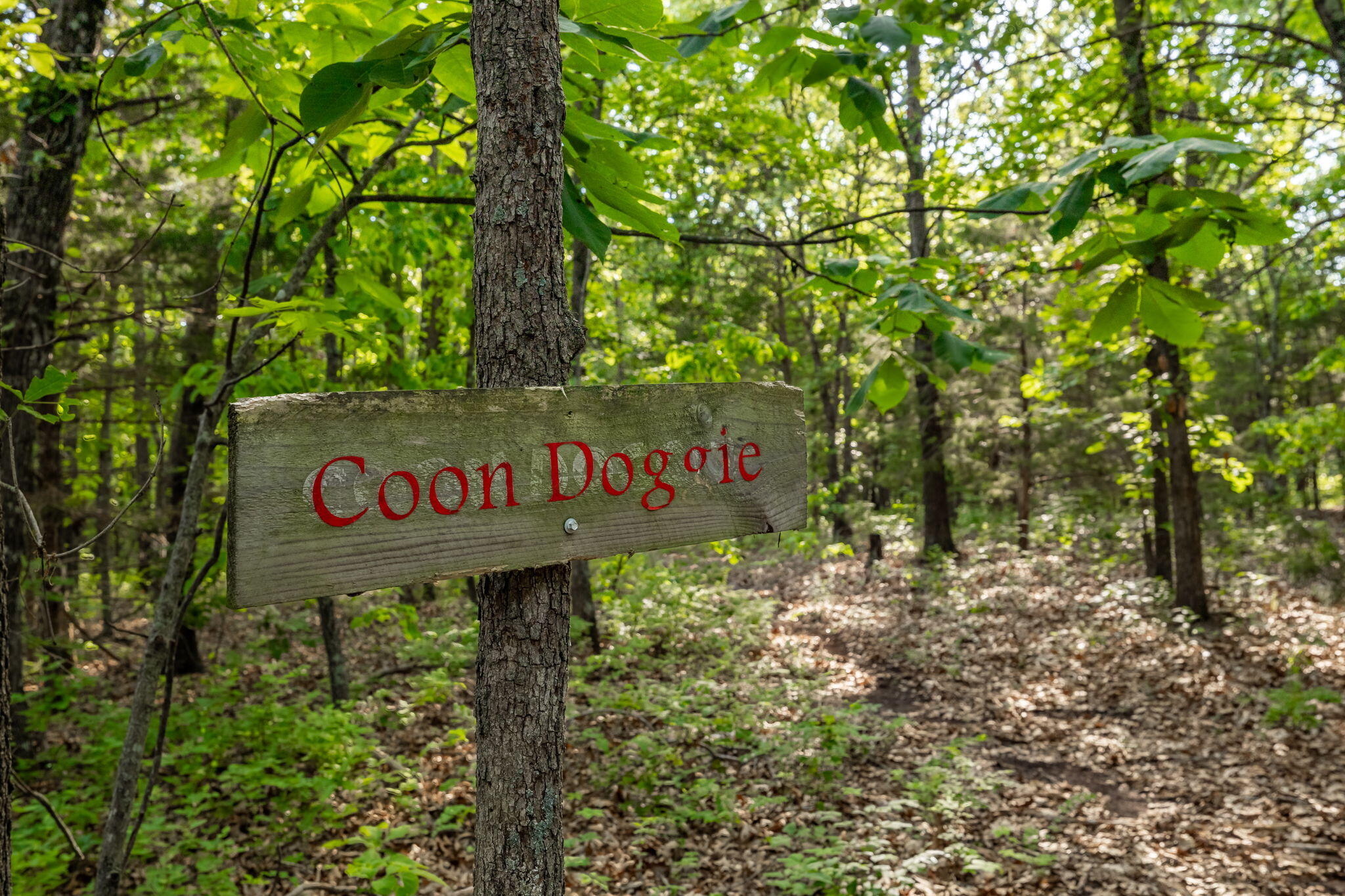Photo 45 - Land for sale – 3093 S 25th Road  Humansville, MO