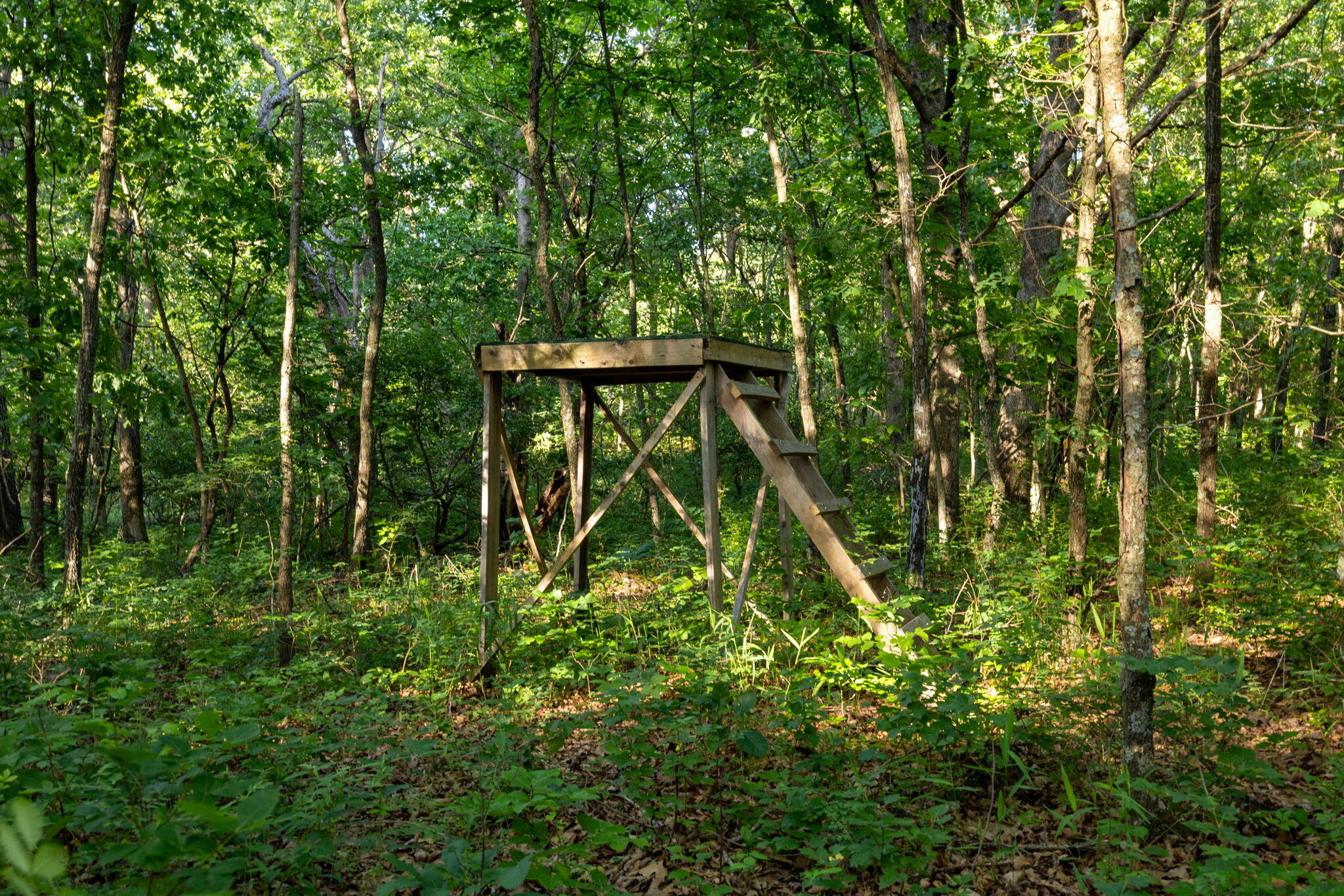 Photo 46 - Land for sale – 3093 S 25th Road  Humansville, MO