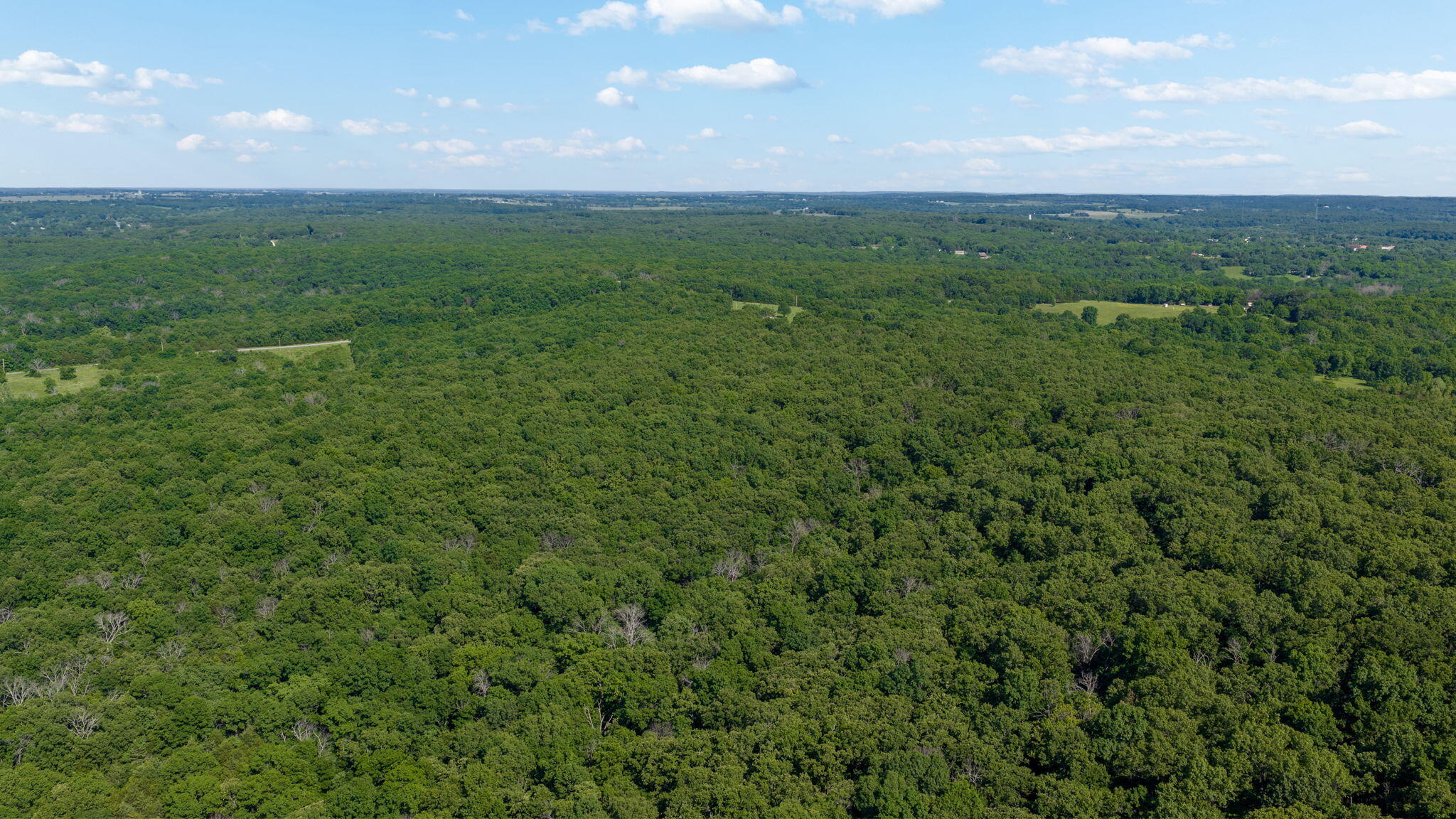 Photo 7 - Land for sale – 3093 S 25th Road  Humansville, MO