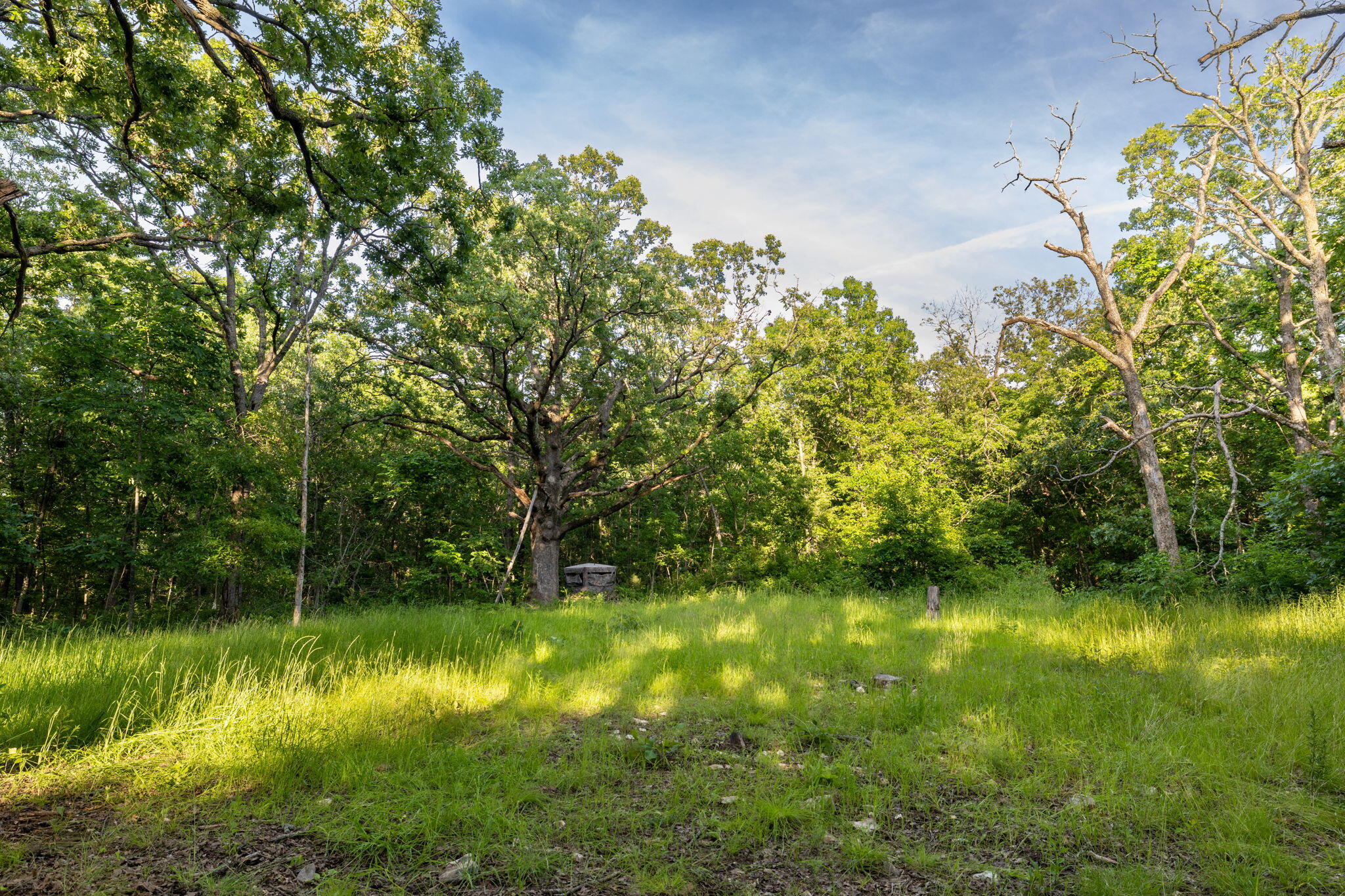 Photo 35 - Land for sale – 3093 S 25th Road  Humansville, MO