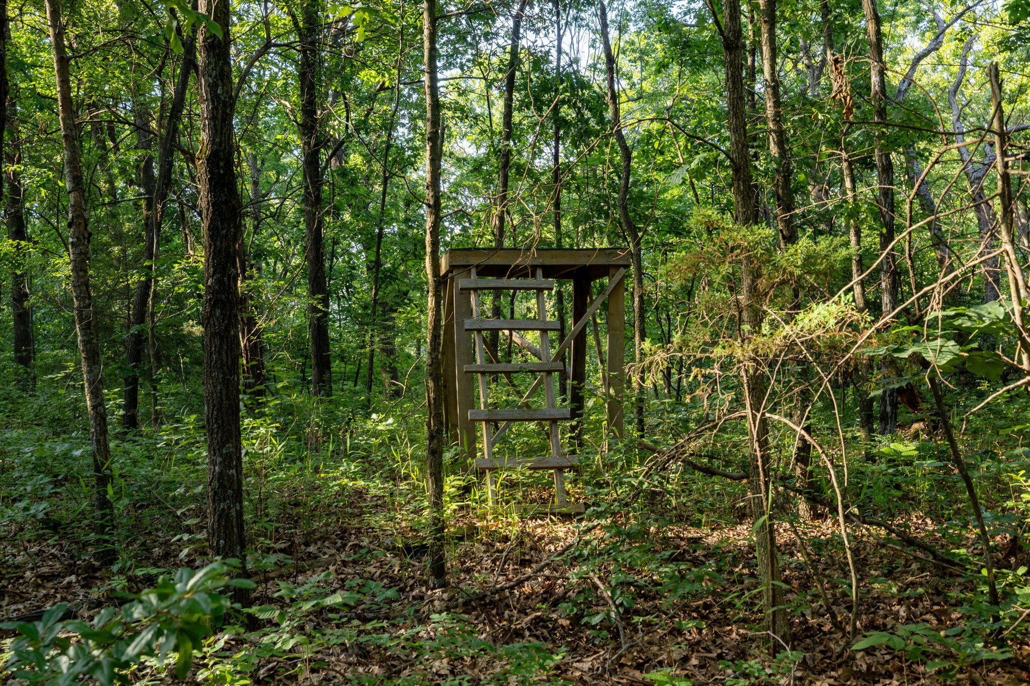 Photo 47 - Land for sale – 3093 S 25th Road  Humansville, MO