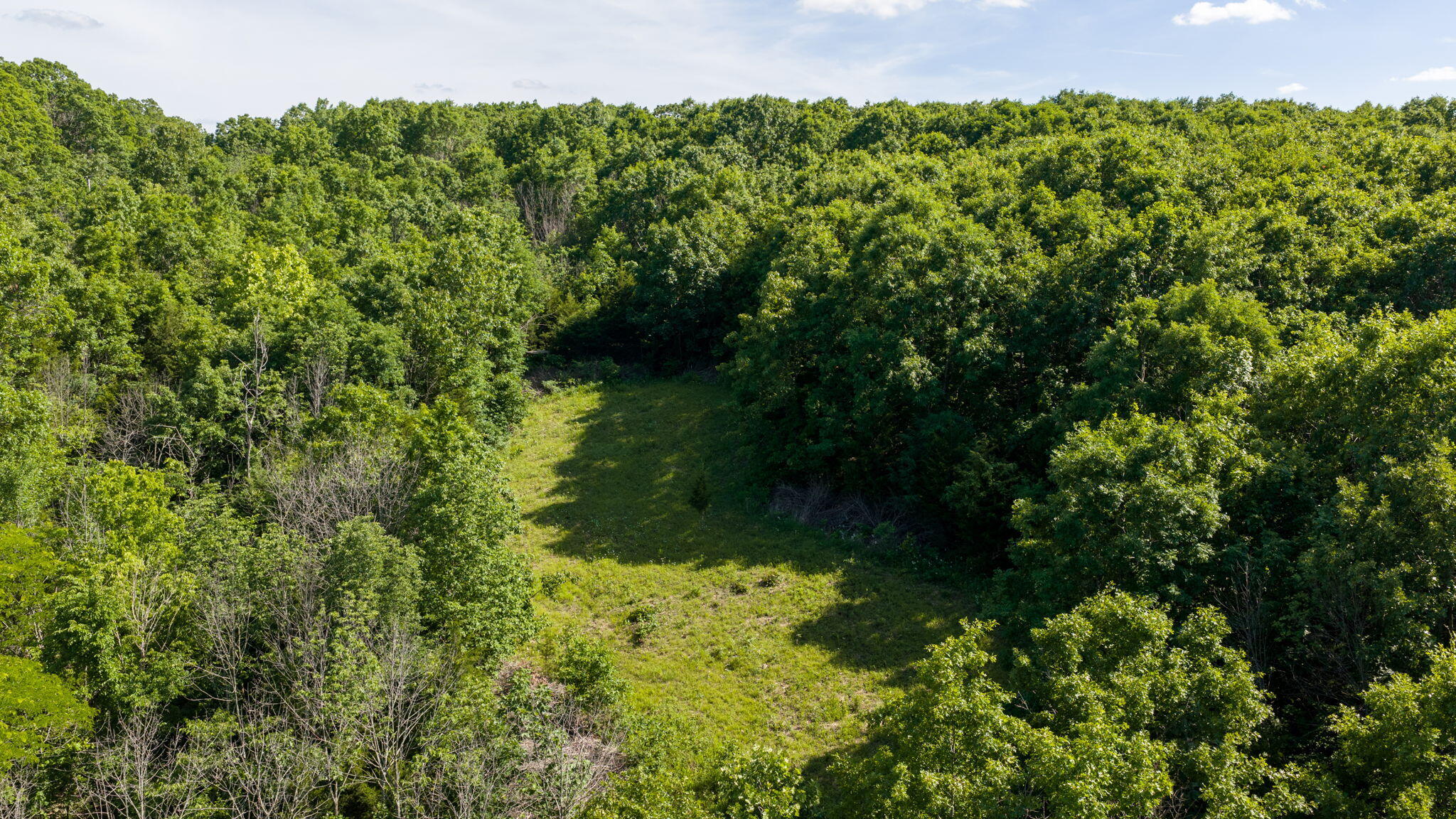 Photo 58 - Land for sale – 3093 S 25th Road  Humansville, MO