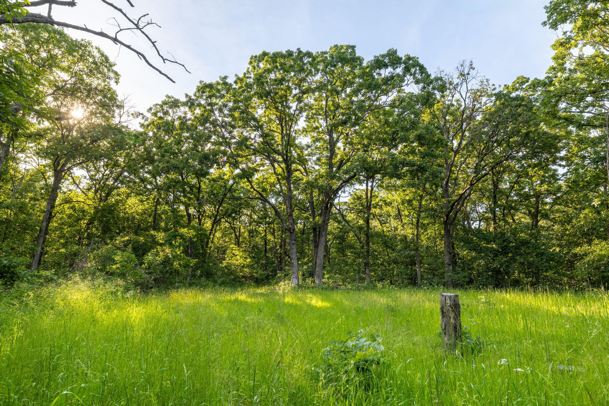 Photo 32 - Land for sale – 3093 S 25th Road  Humansville, MO