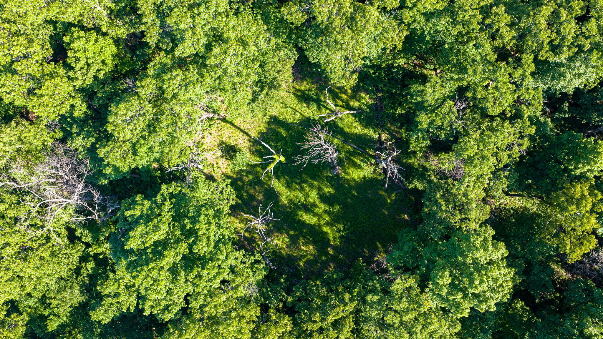Photo 61 - Land for sale – 3093 S 25th Road  Humansville, MO