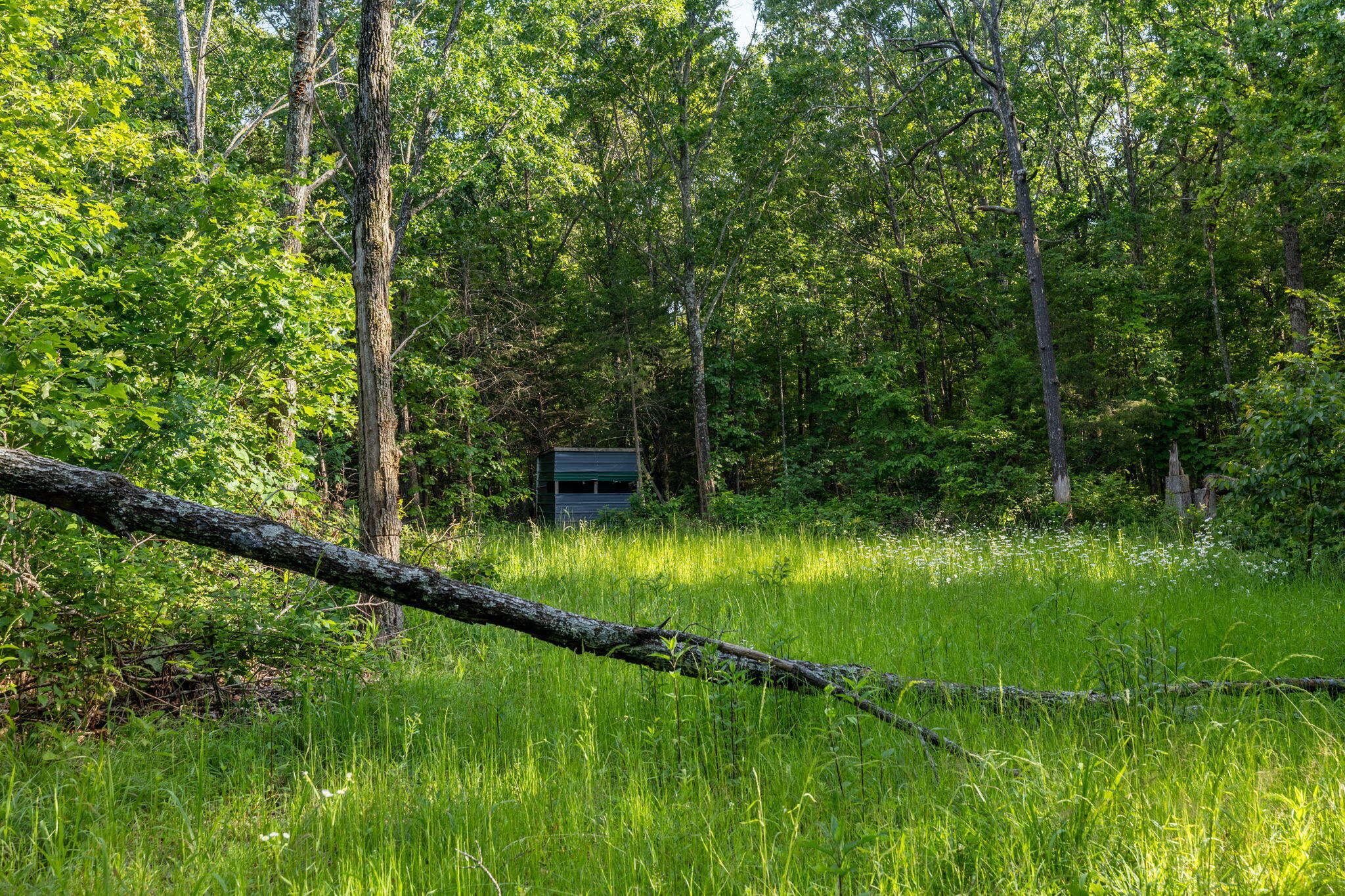 Photo 40 - Land for sale – 3093 S 25th Road  Humansville, MO