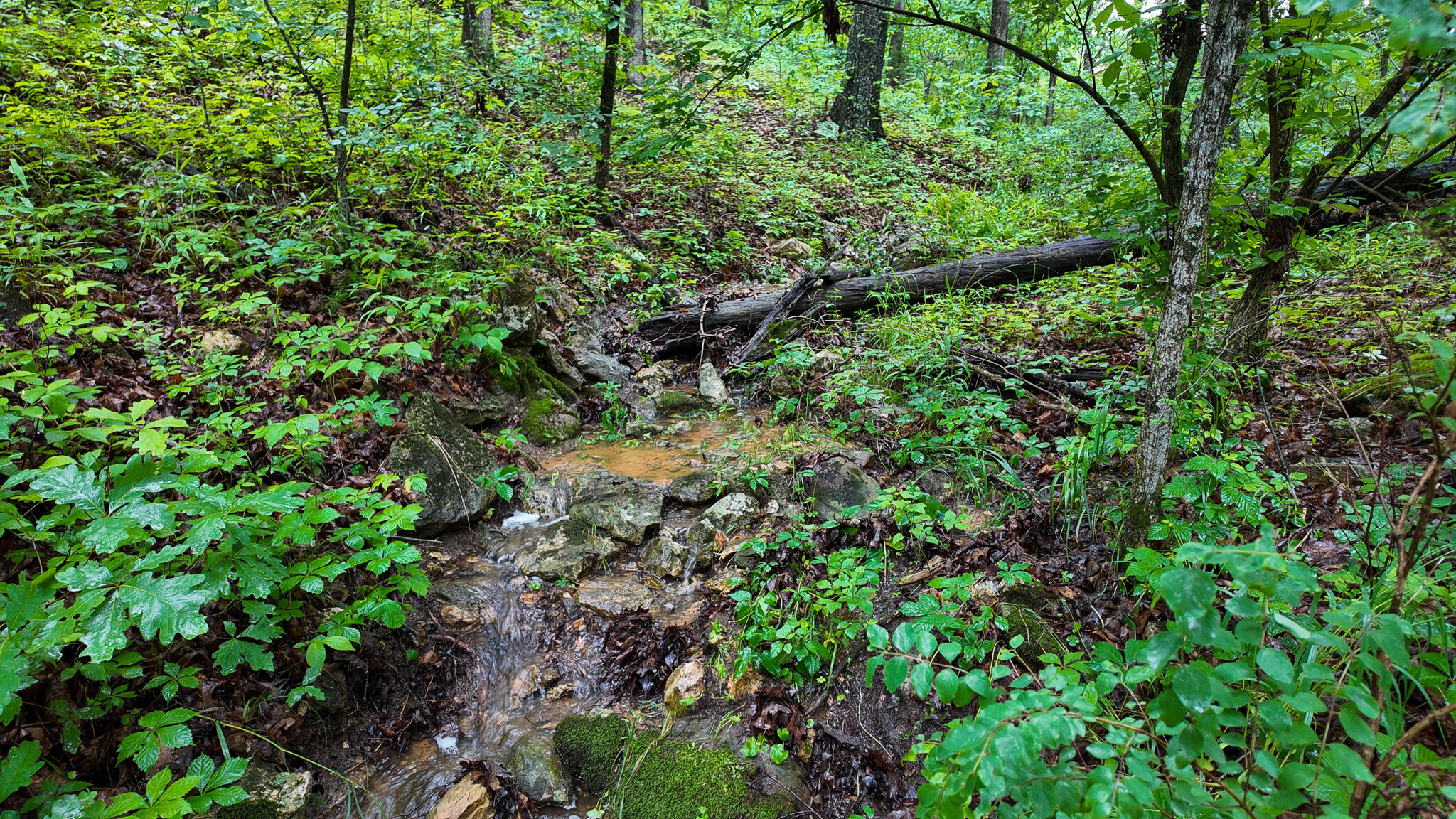 Photo 11 - Land for sale – 000 Hwy Tt  Hwy Tt   Osceola, MO