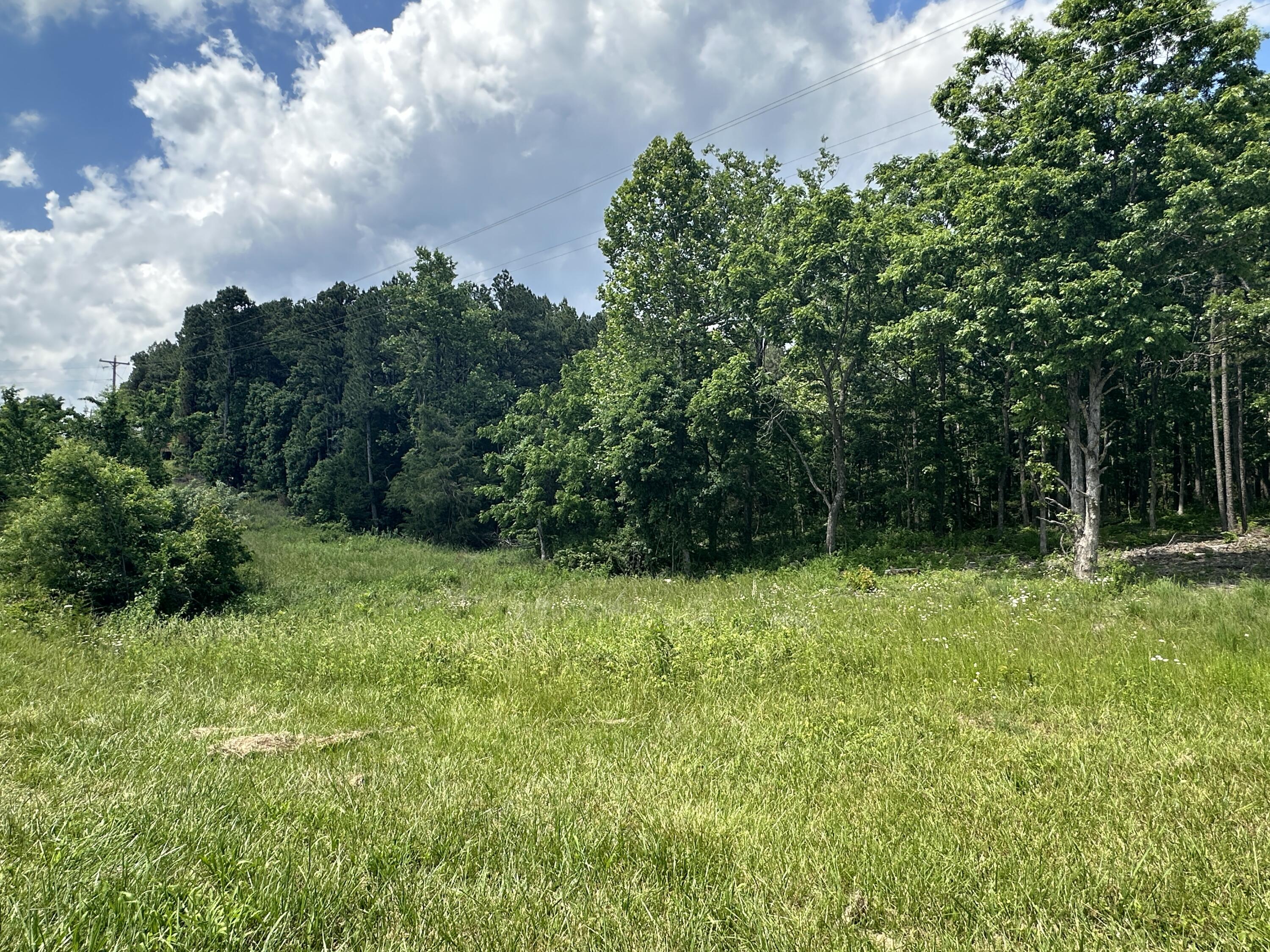 Photo 4 - Land for sale – 000  Country Aire Land & Pine Ridge   Mountain Grove, MO