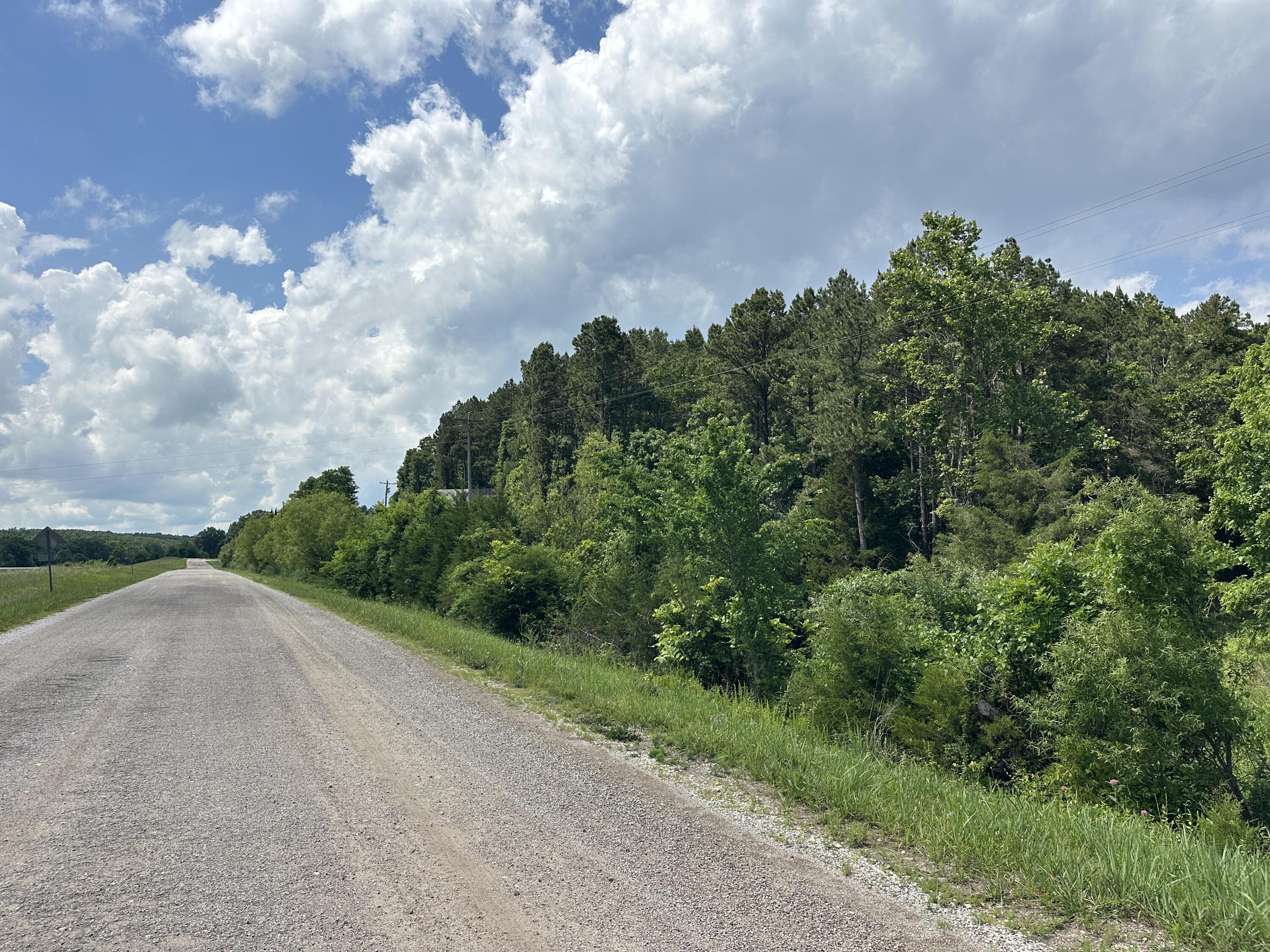 Photo 6 - Land for sale – 000  Country Aire Land & Pine Ridge   Mountain Grove, MO