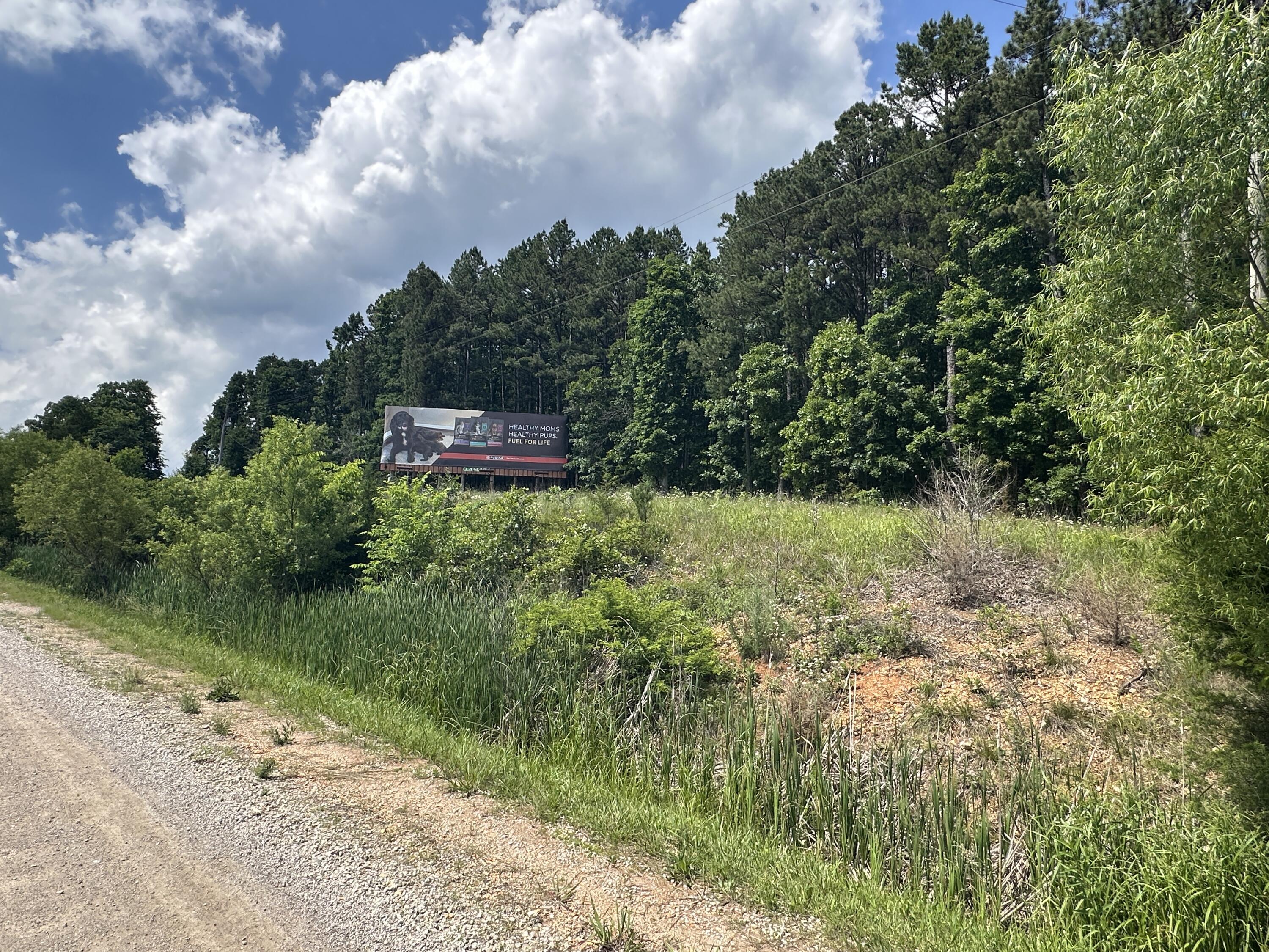 Photo 7 - Land for sale – 000  Country Aire Land & Pine Ridge   Mountain Grove, MO