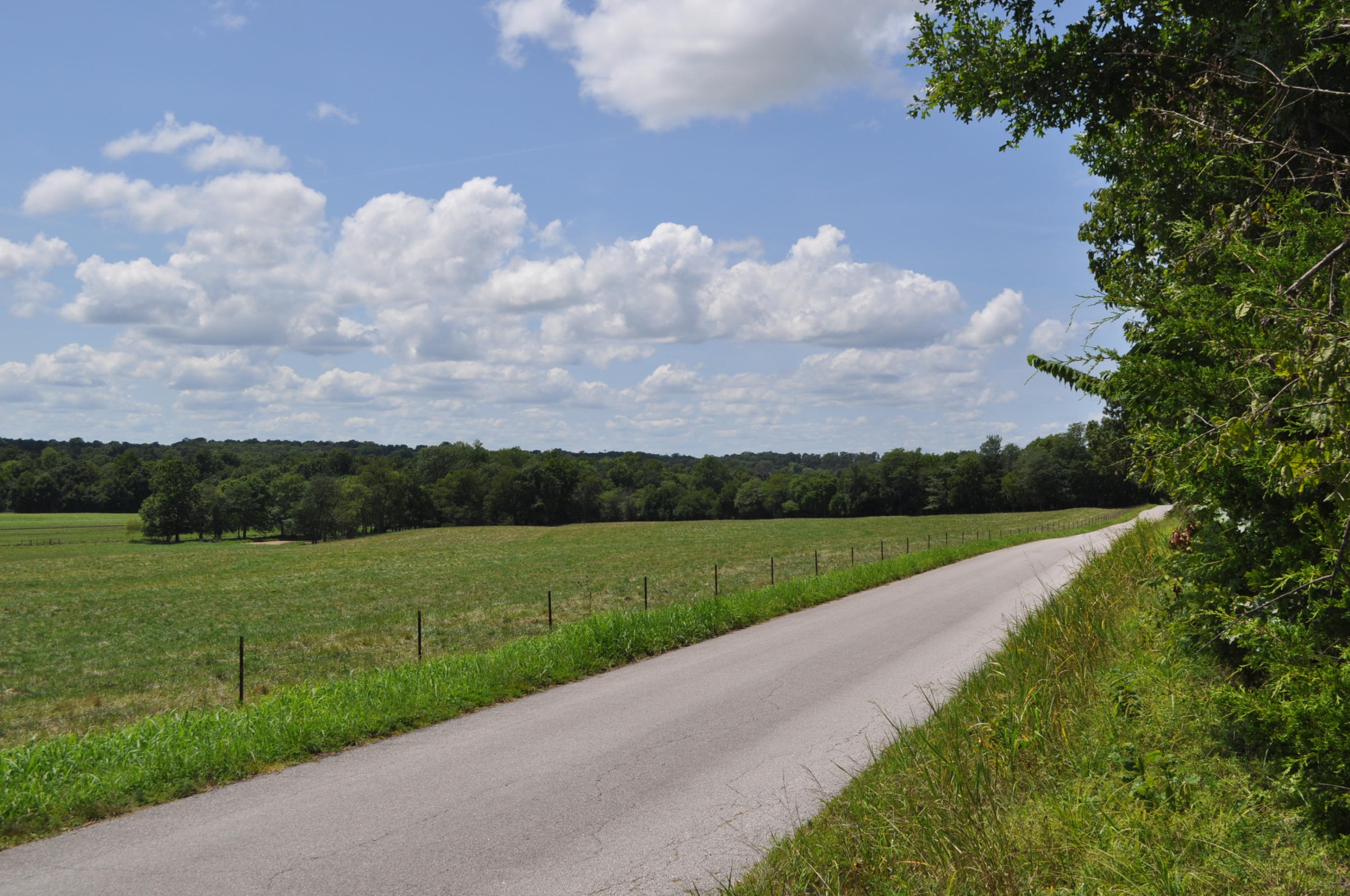 Photo 5 - Land for sale – 000 E 517th Road   Halfway, MO
