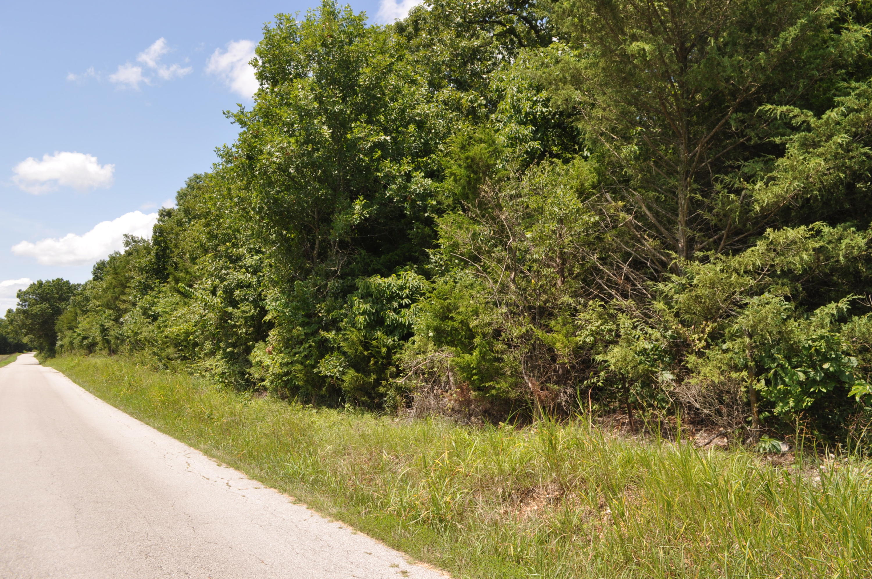 Photo 3 - Land for sale – 000 E 517th Road   Halfway, MO