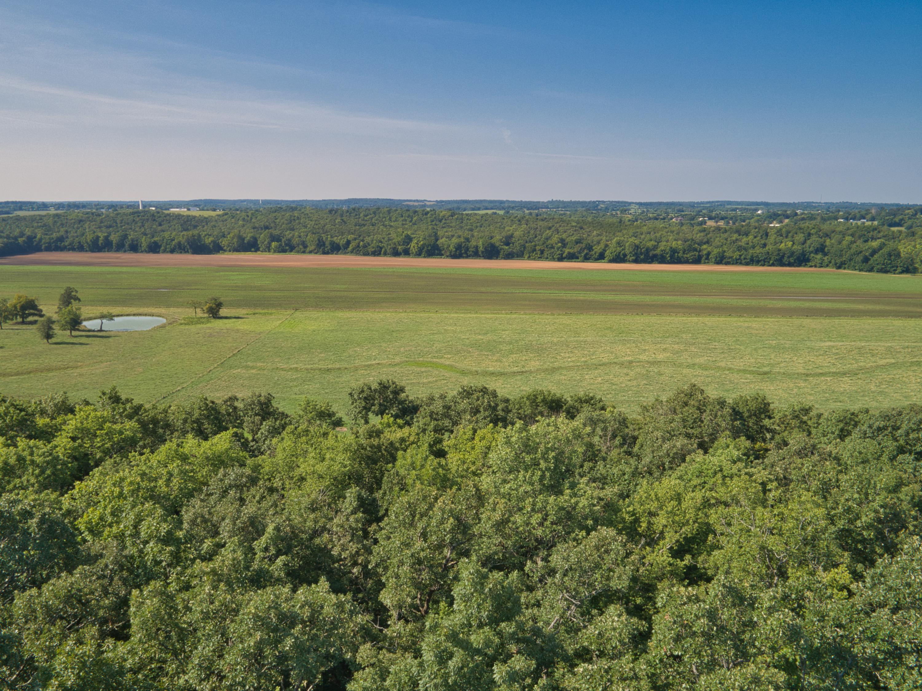 Land for sale – 000 E 517th Road   Halfway, MO
